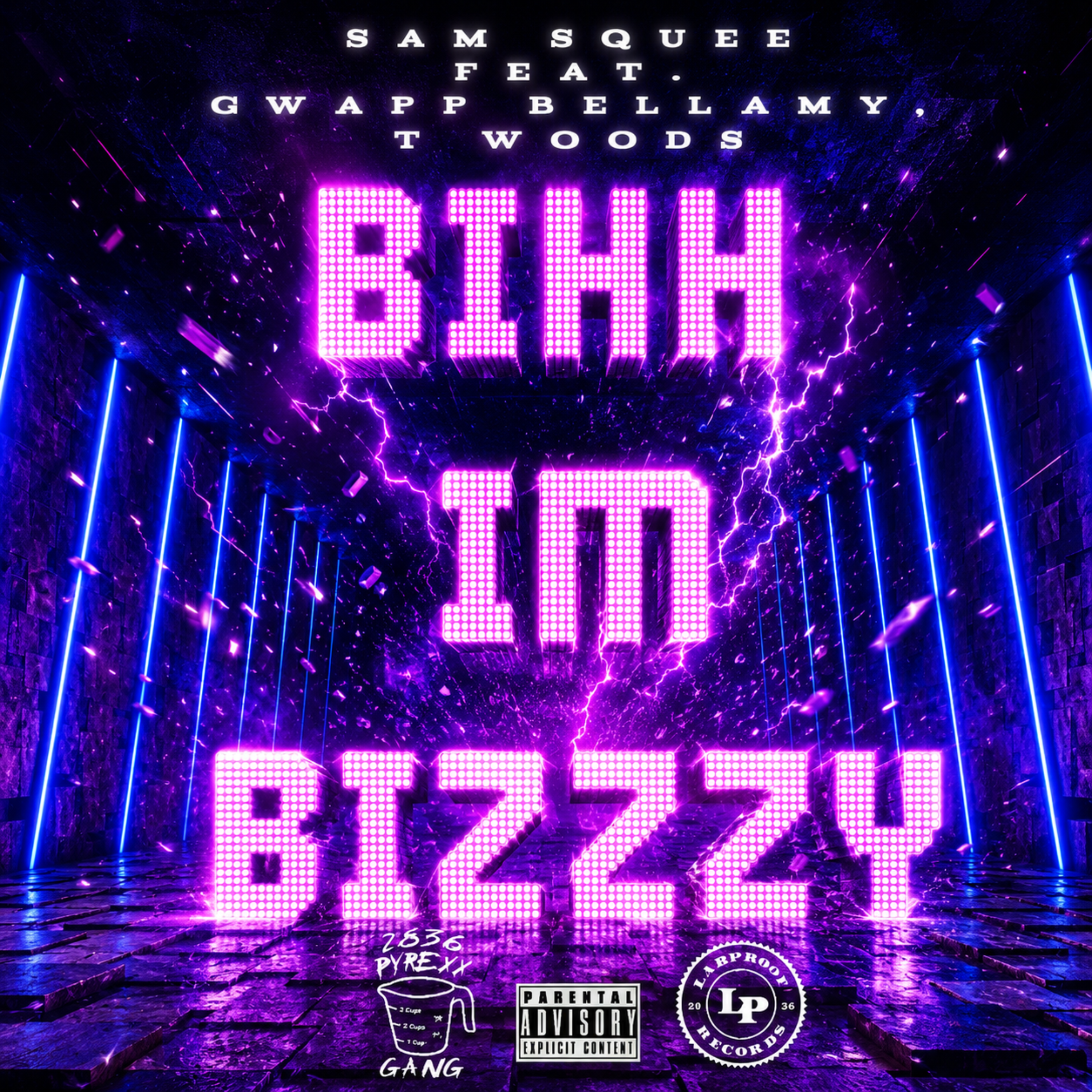 BIHH IM BIZZZY by Sam Squee cover art