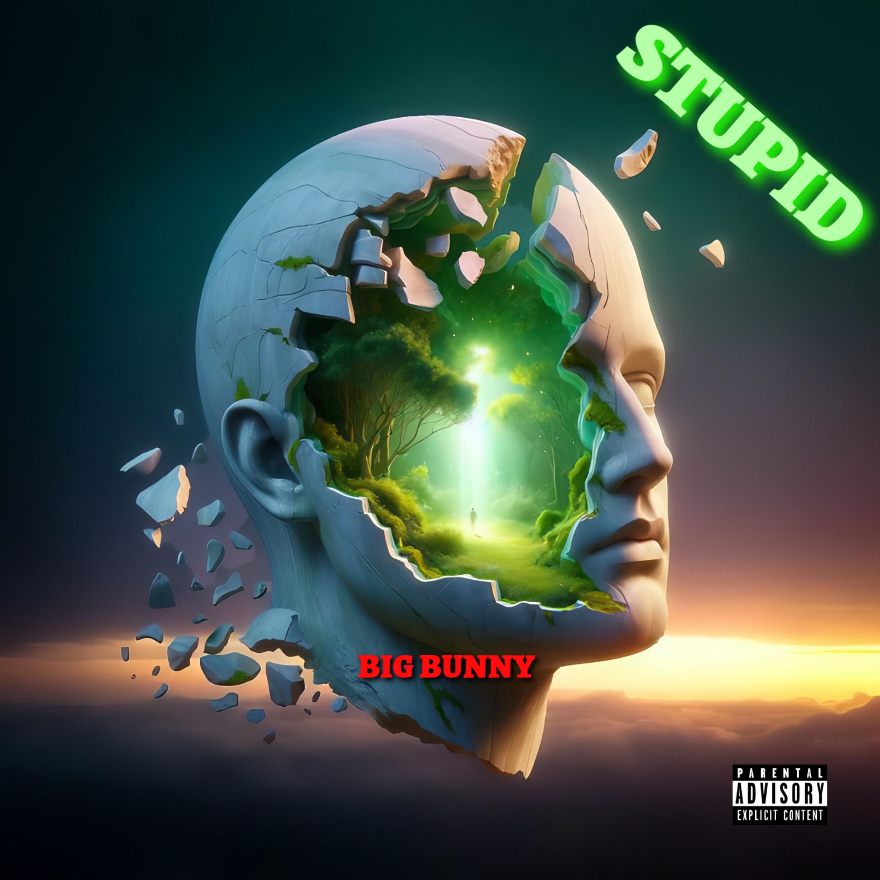 Stupid artwork