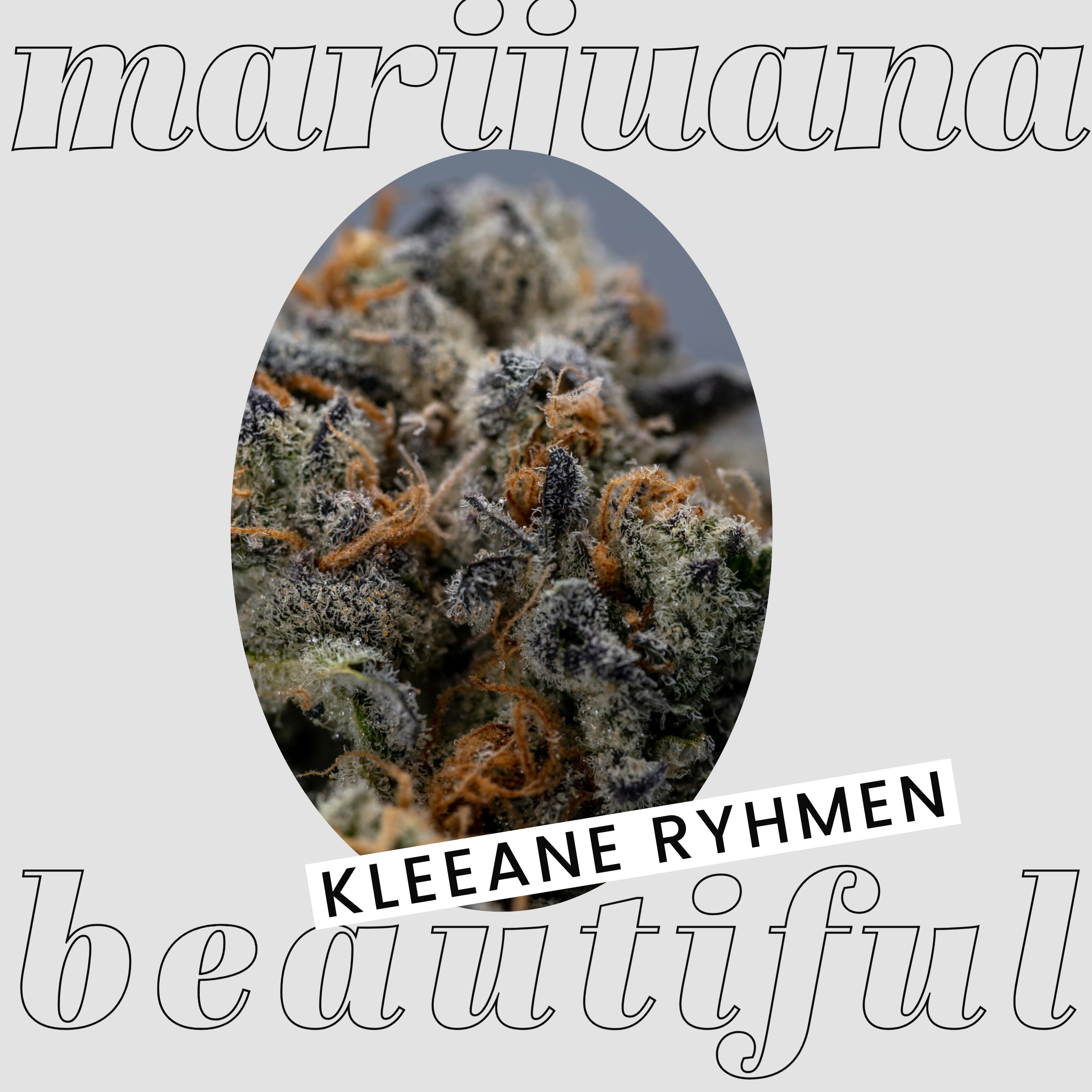 Marijuana & Beautiful Women artwork