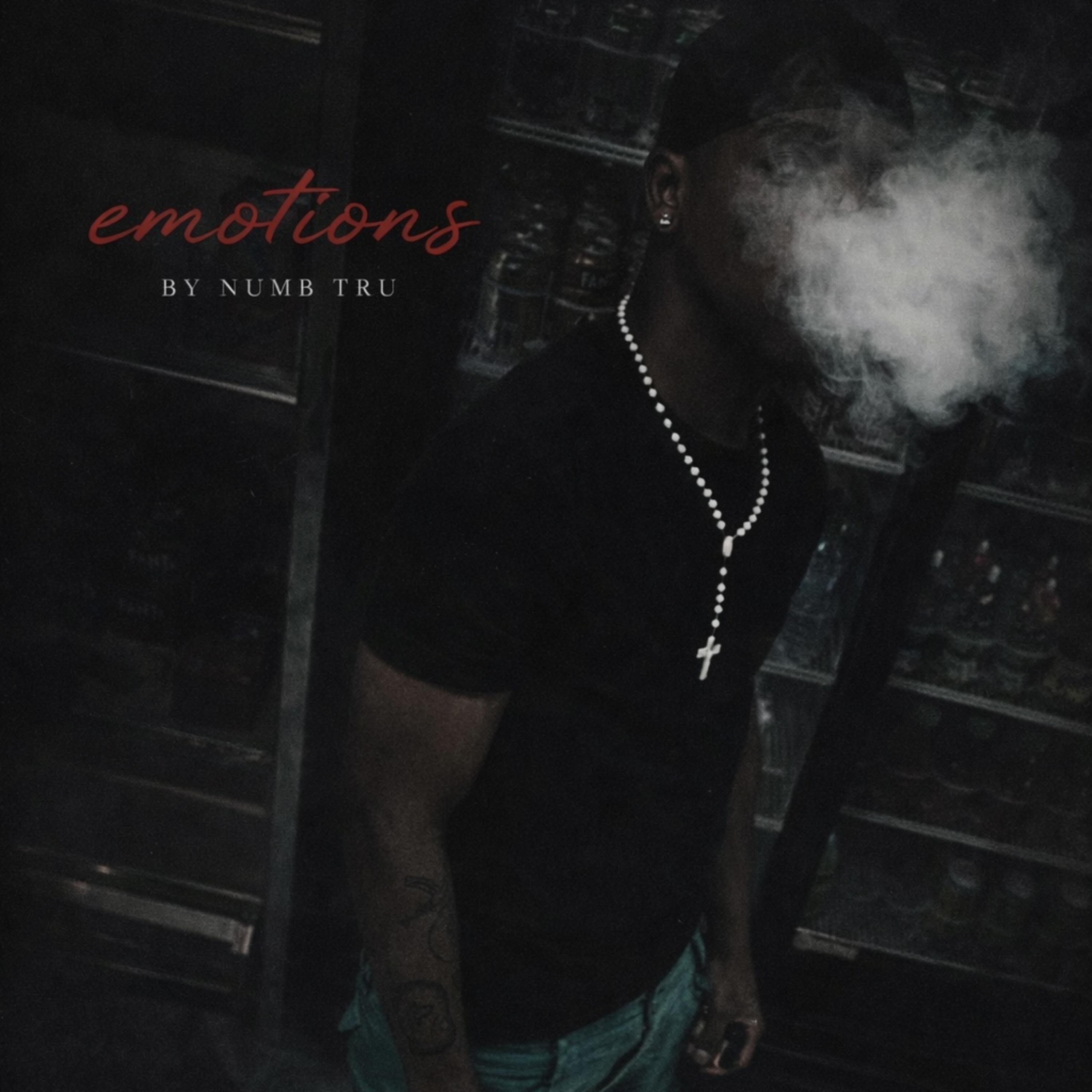 EMOTIONS artwork