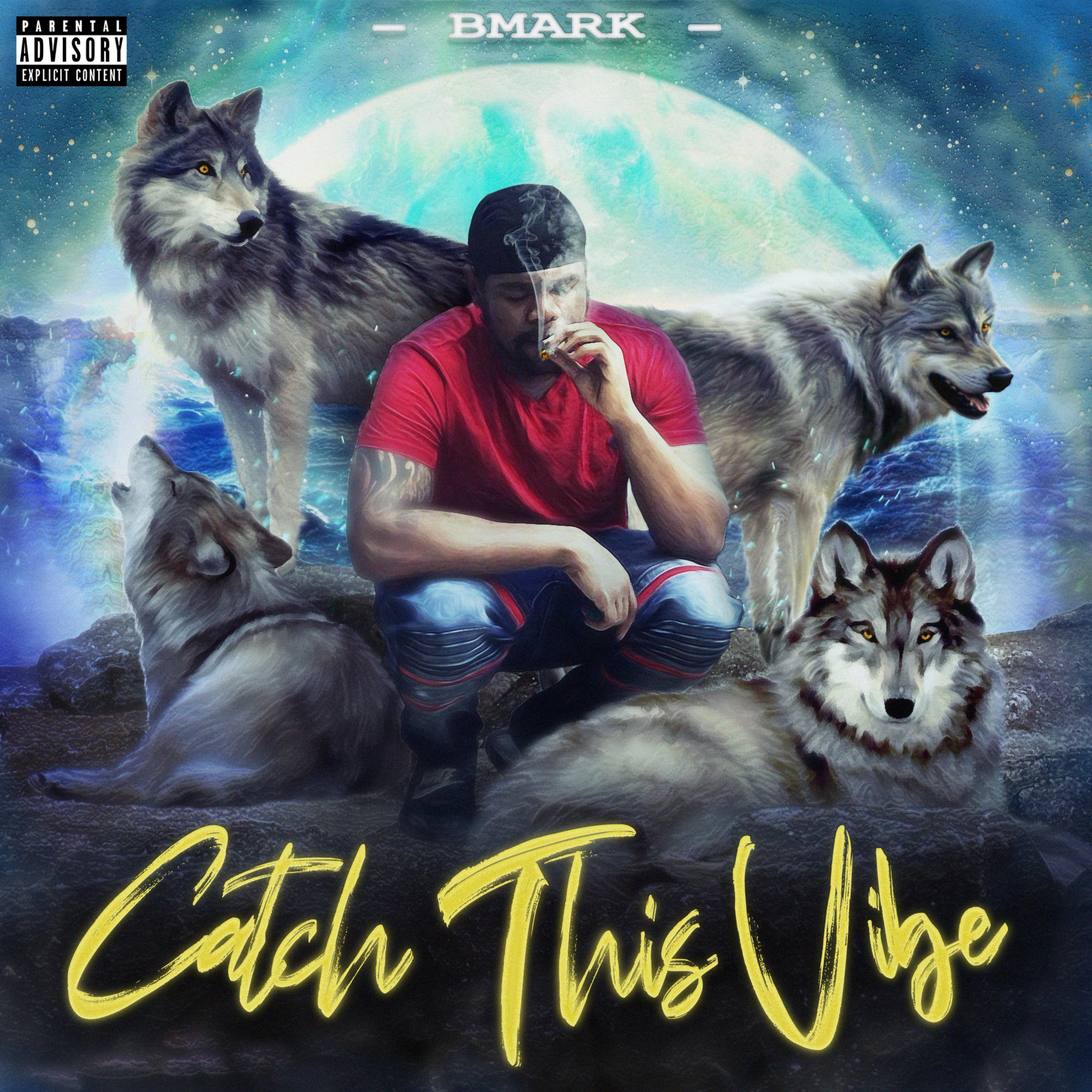 Catch This Vide artwork