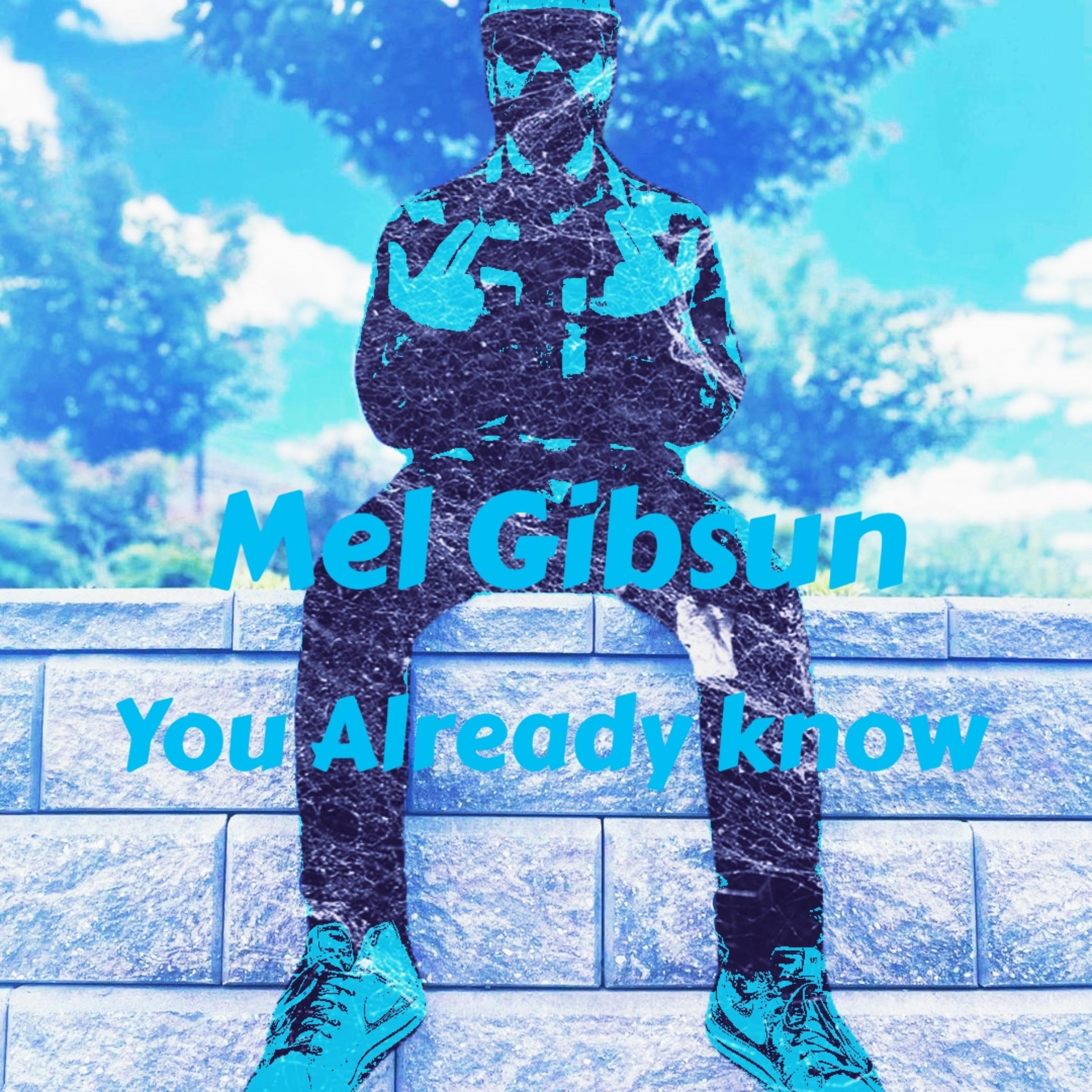 You Already Know by Mel Gibsun cover art