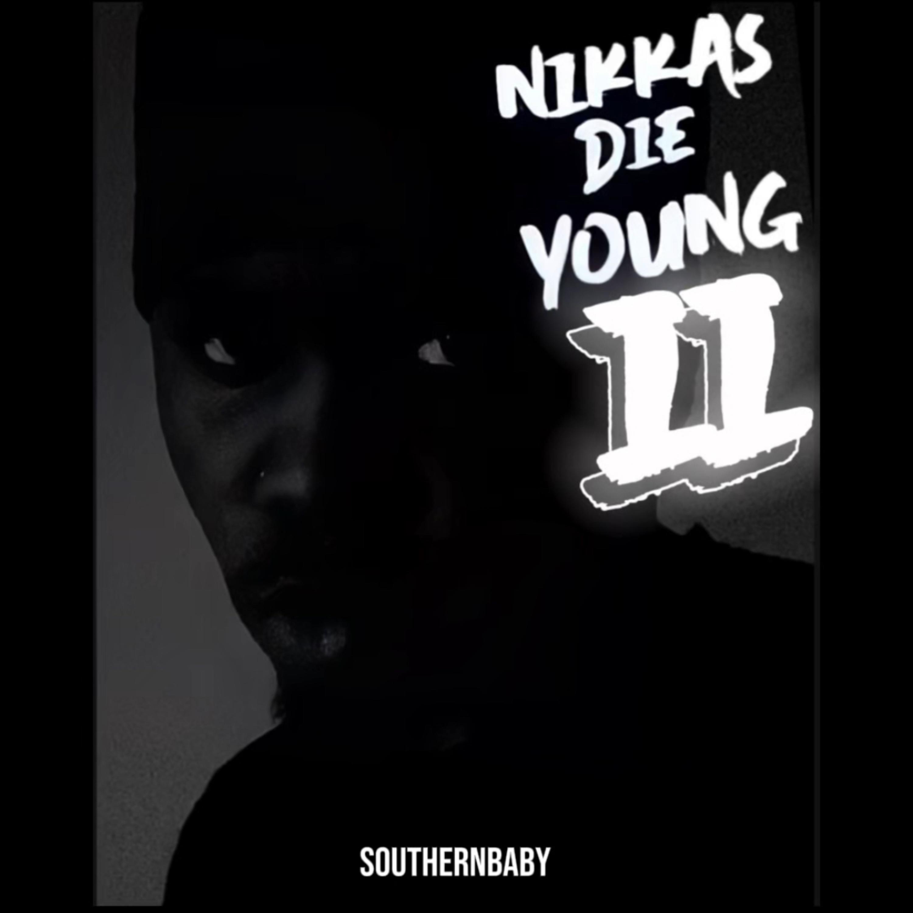 N.D.Y II artwork