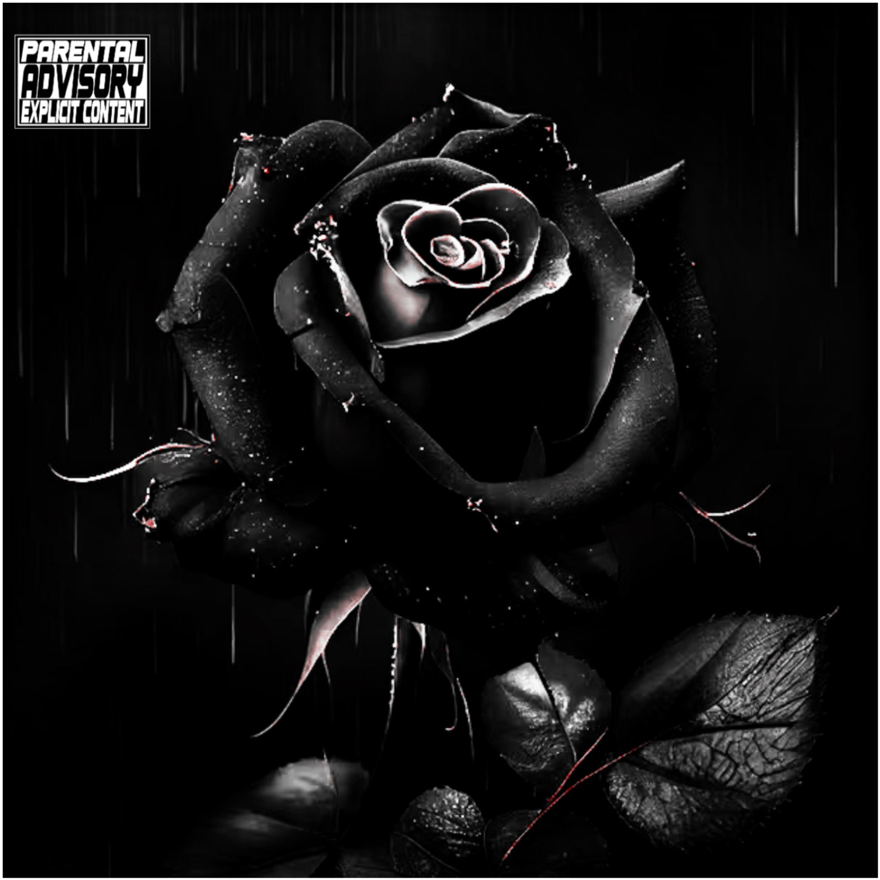 unfinished products by Lil Twenty cover art