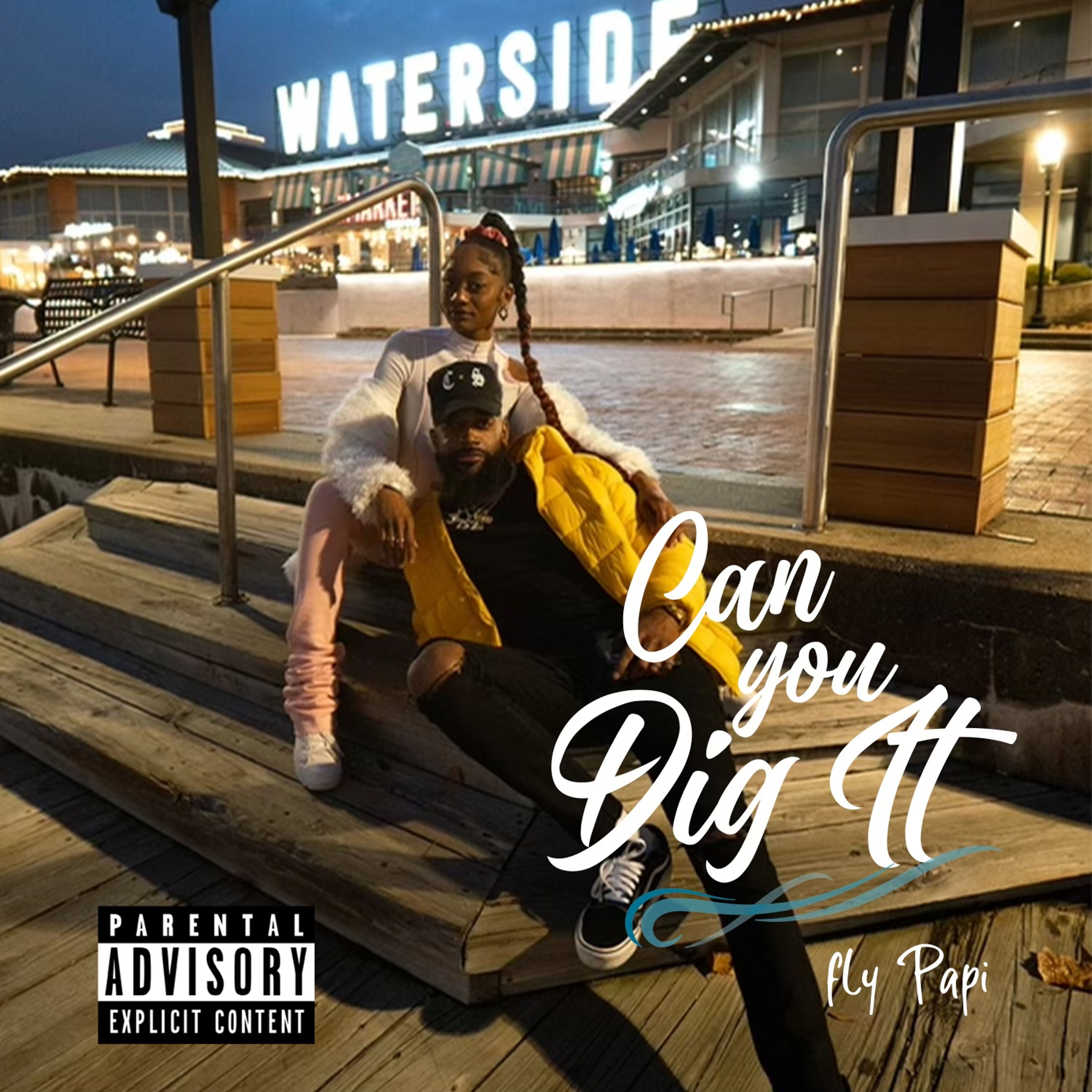 Can You Dig It artwork