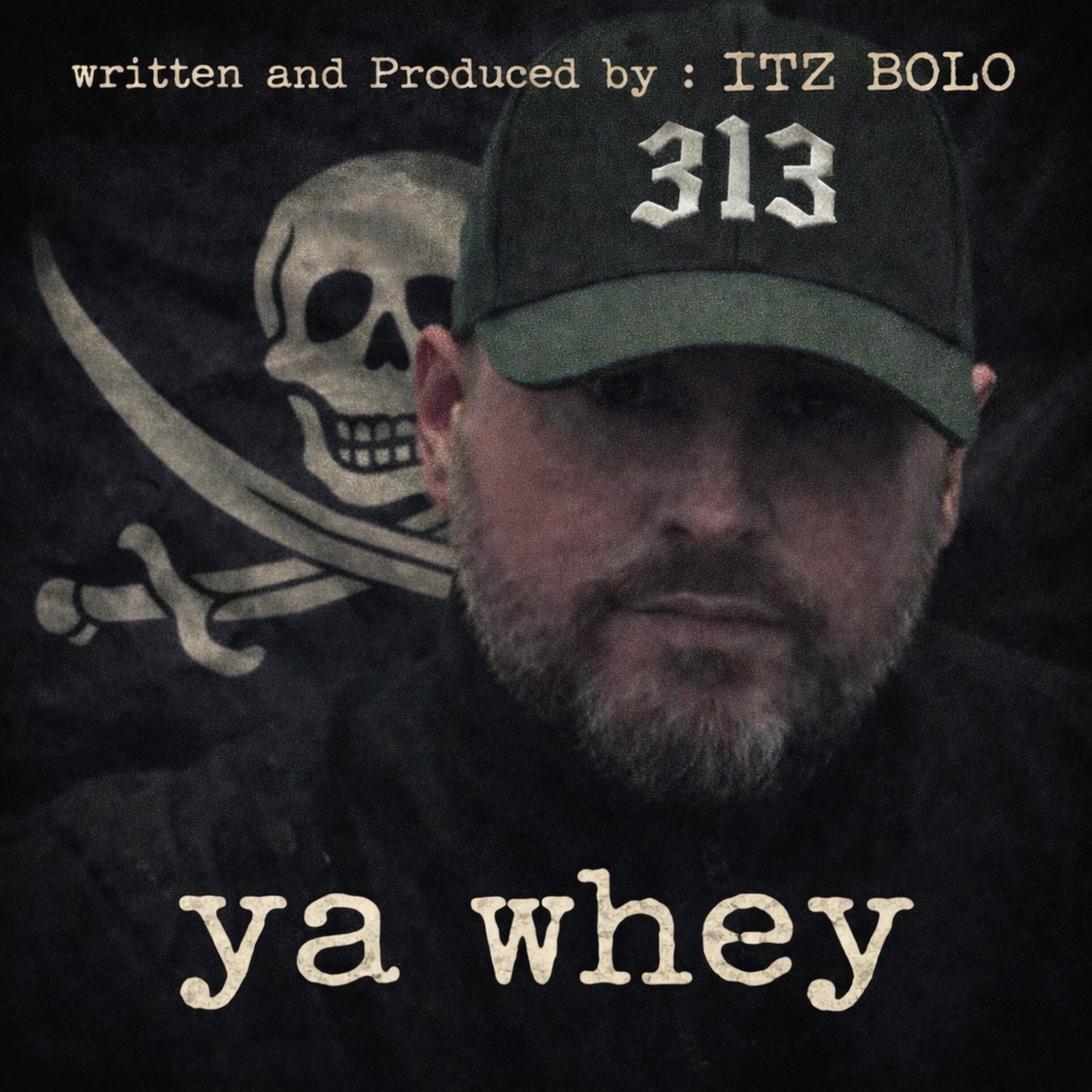 Ya whey artwork