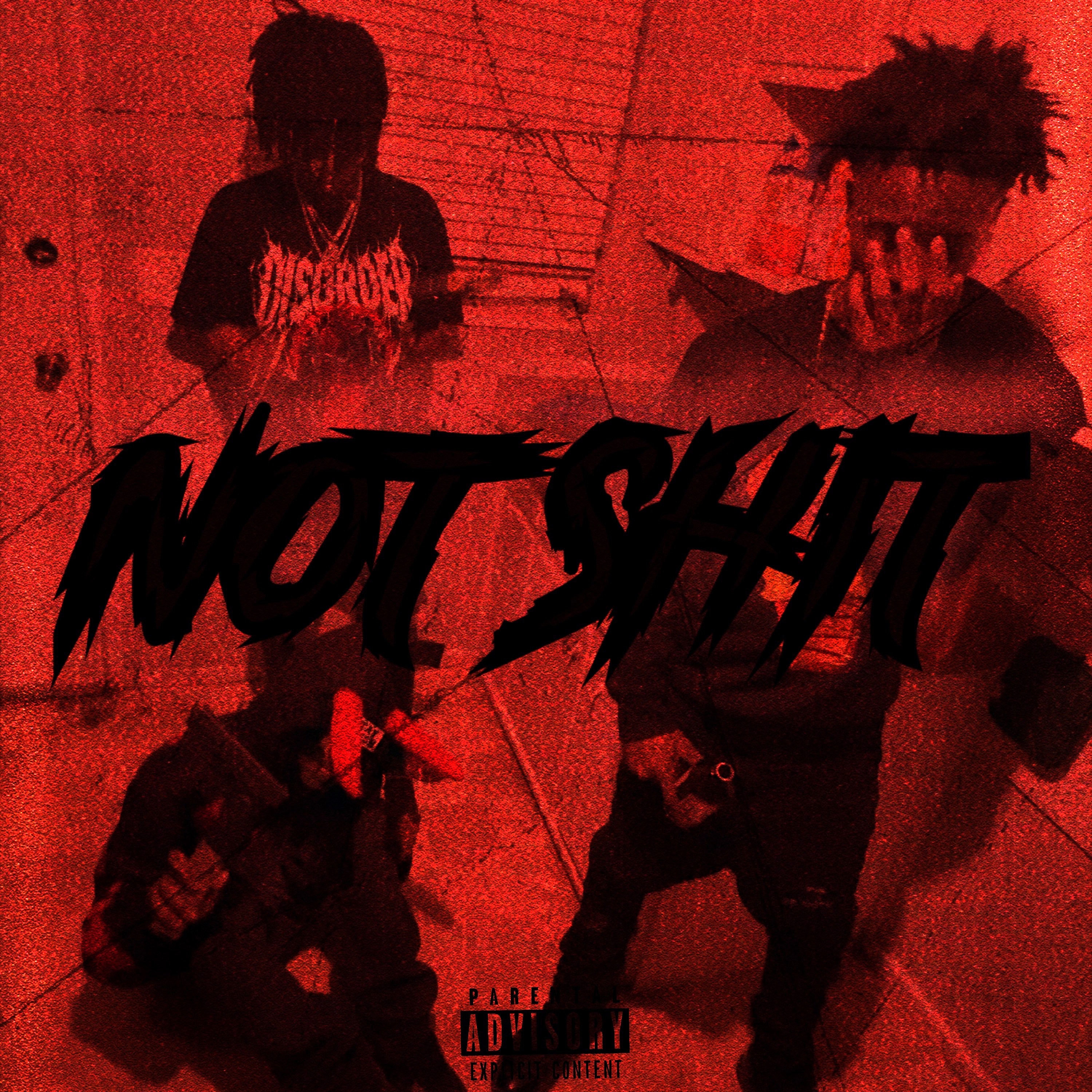 Not Sh!t artwork