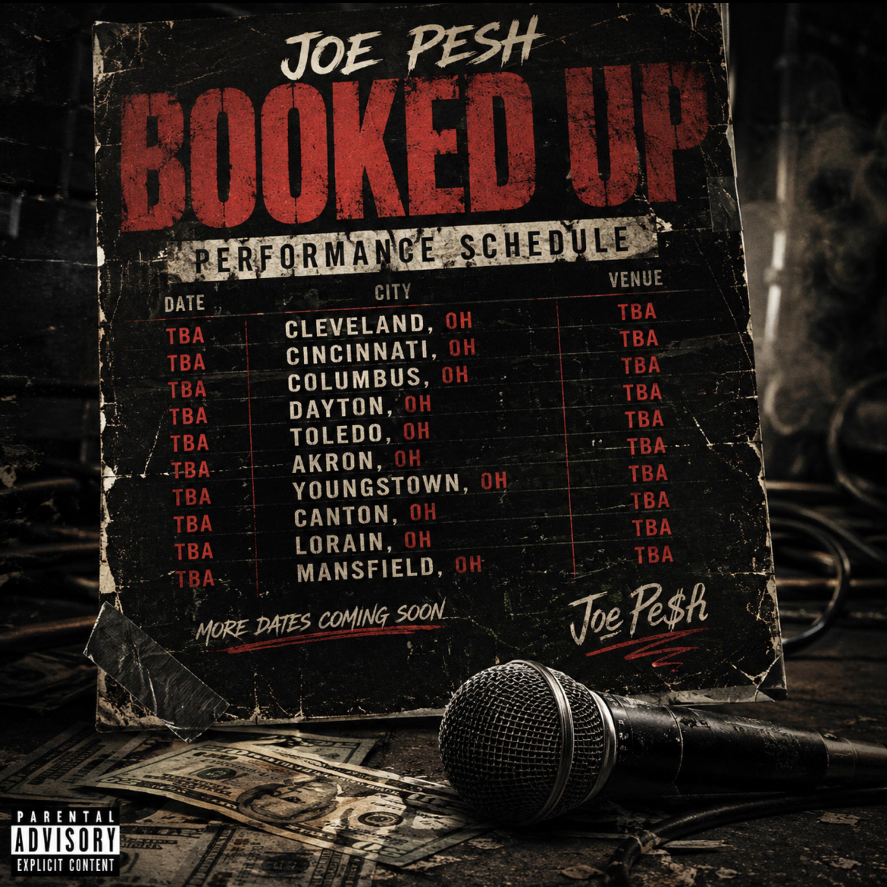 Booked Up by Joe Pesh cover art
