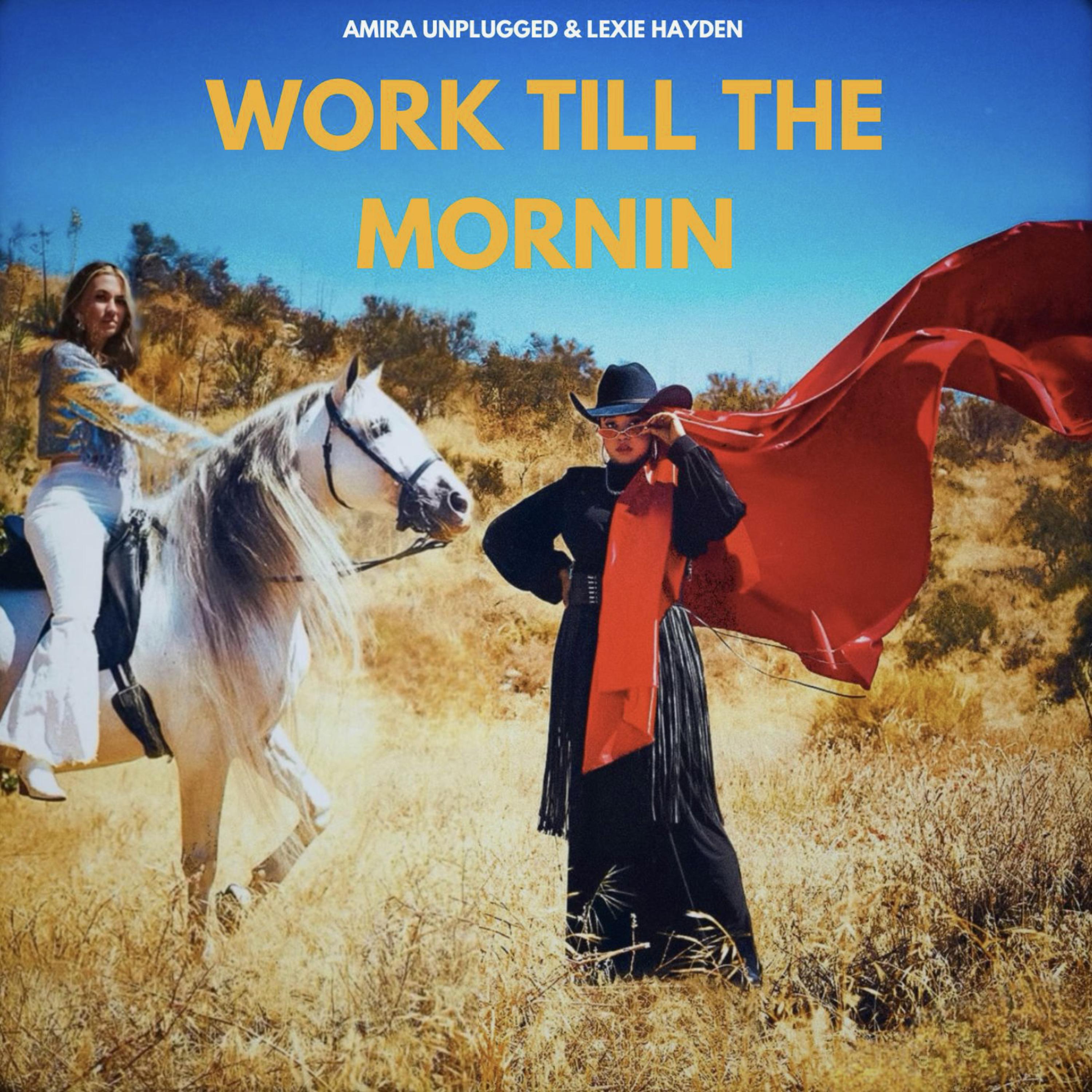Work Till The Mornin' artwork