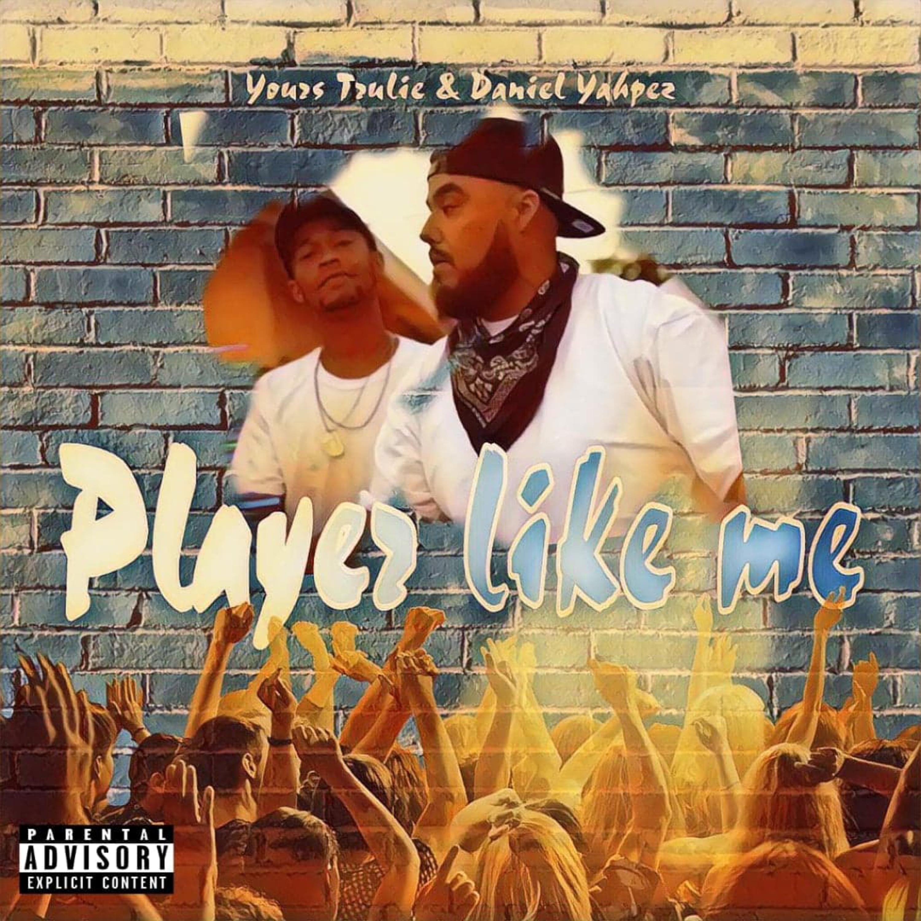 Player Like Me artwork