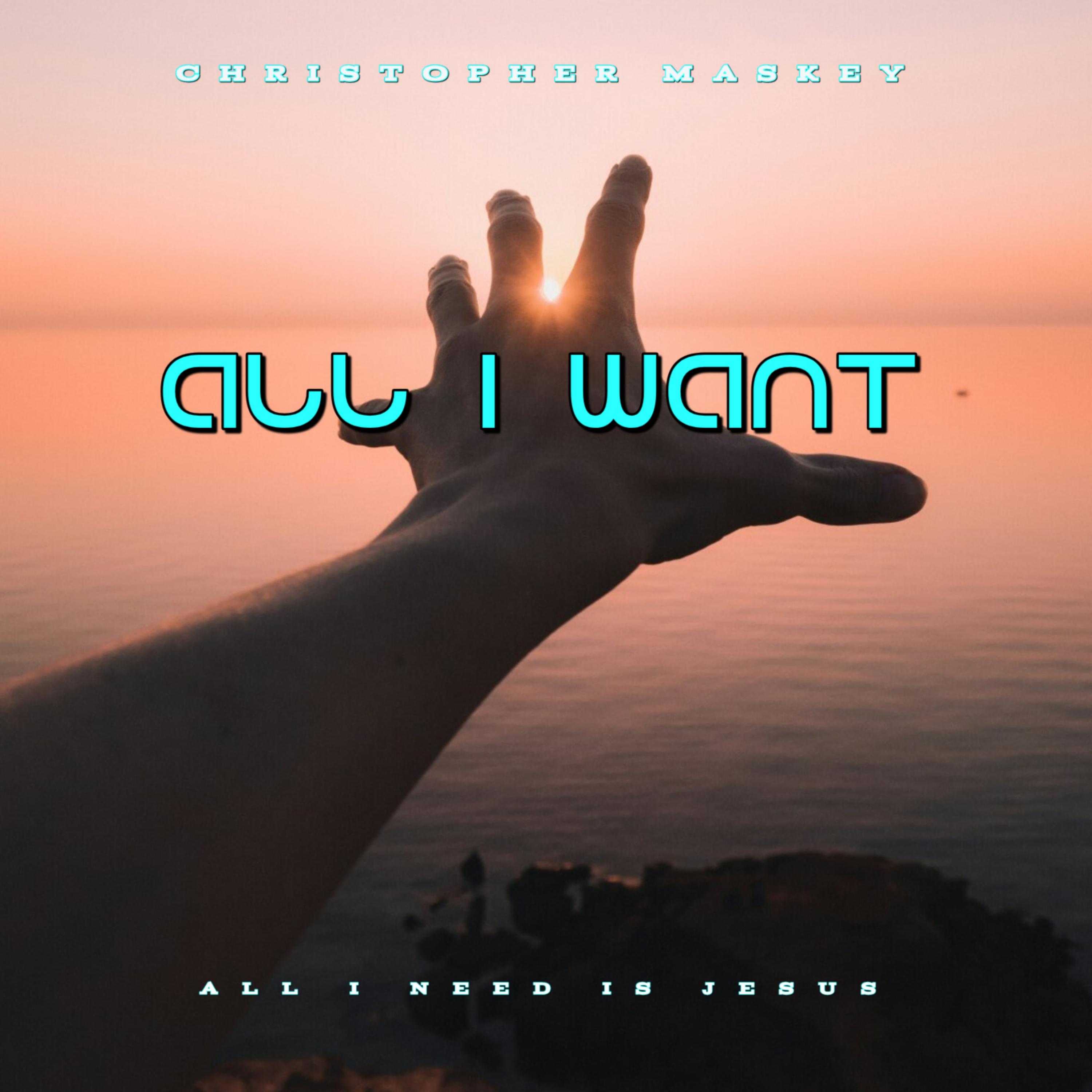 All I Want artwork