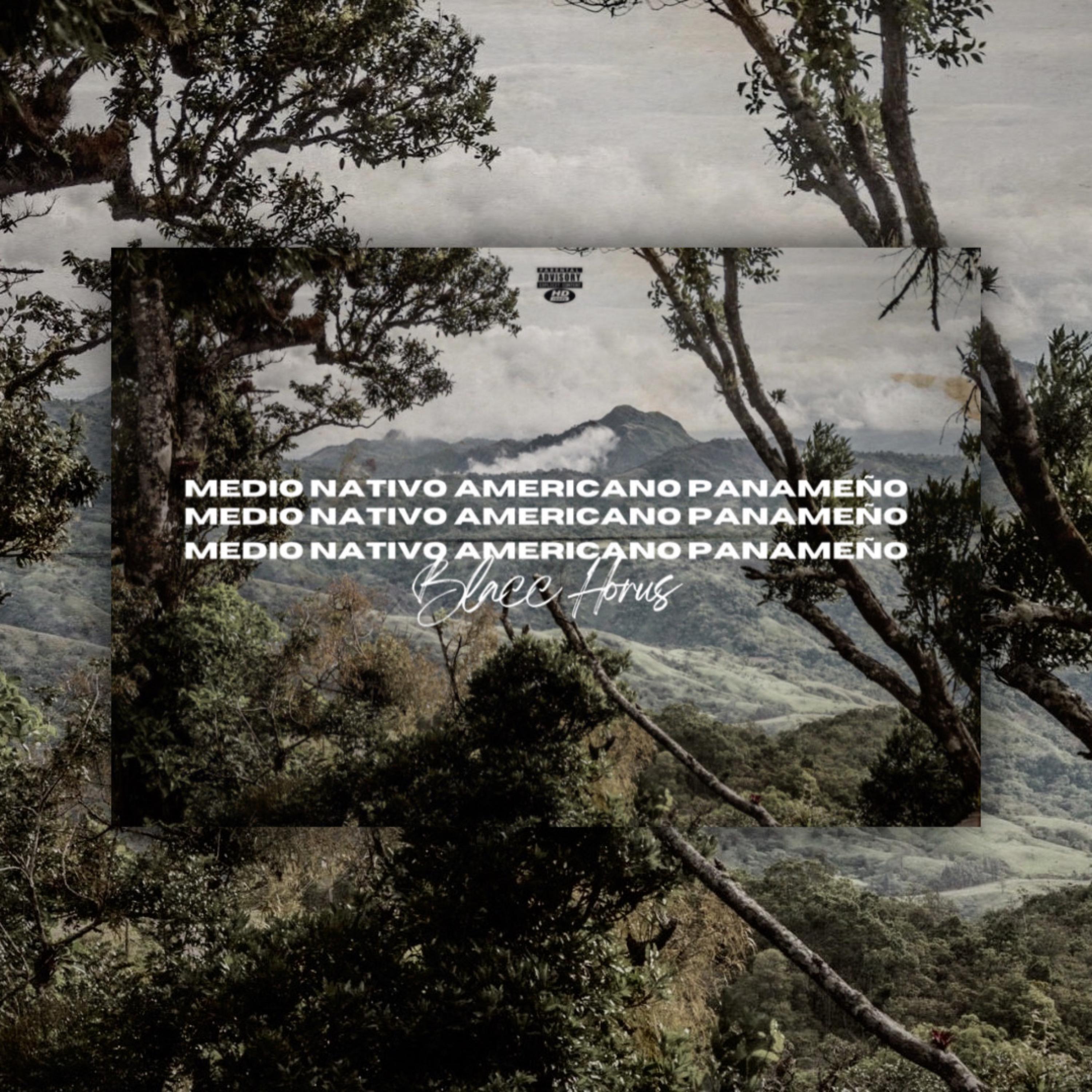 Medio Nativo Americano Panameño artwork