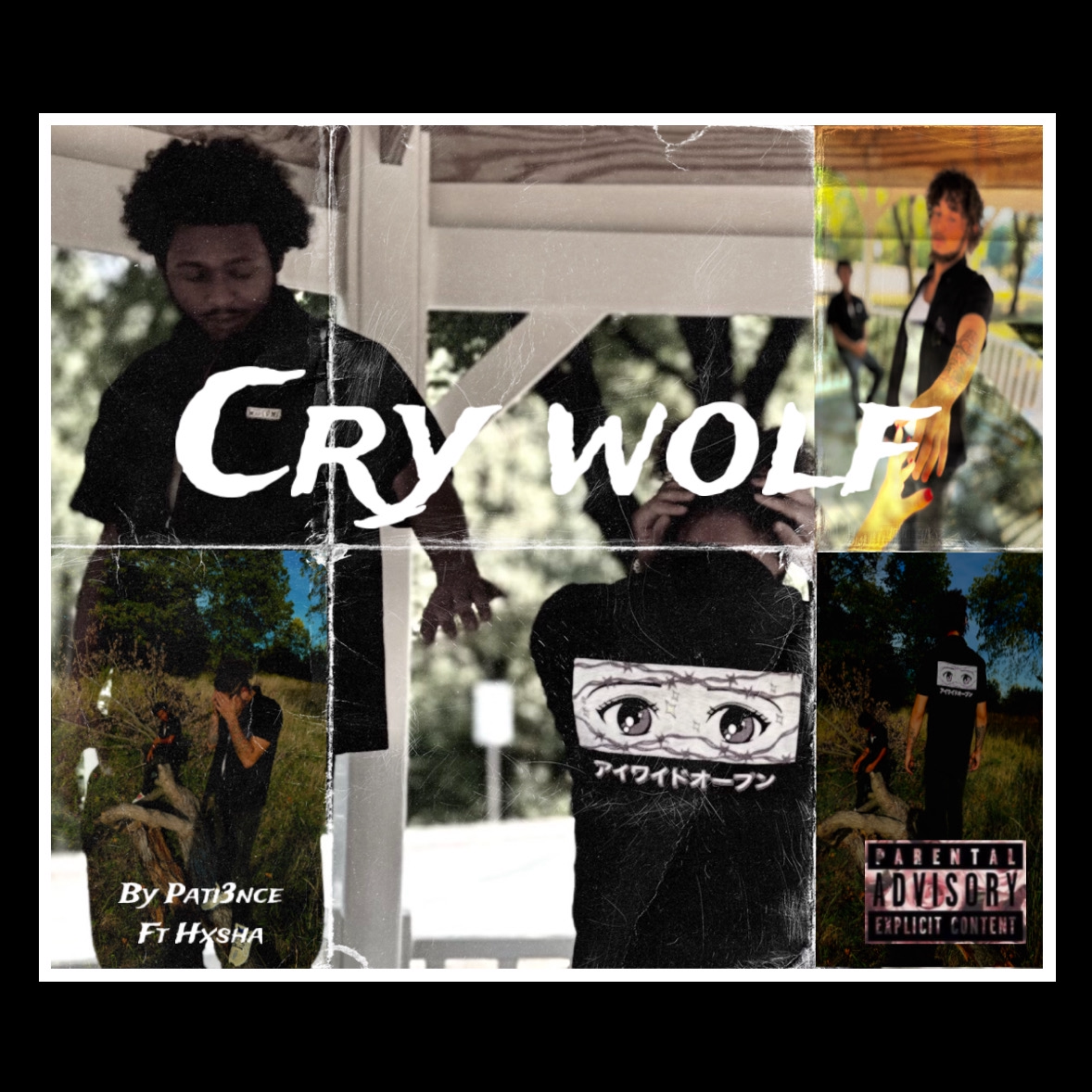 Cry Wolf artwork
