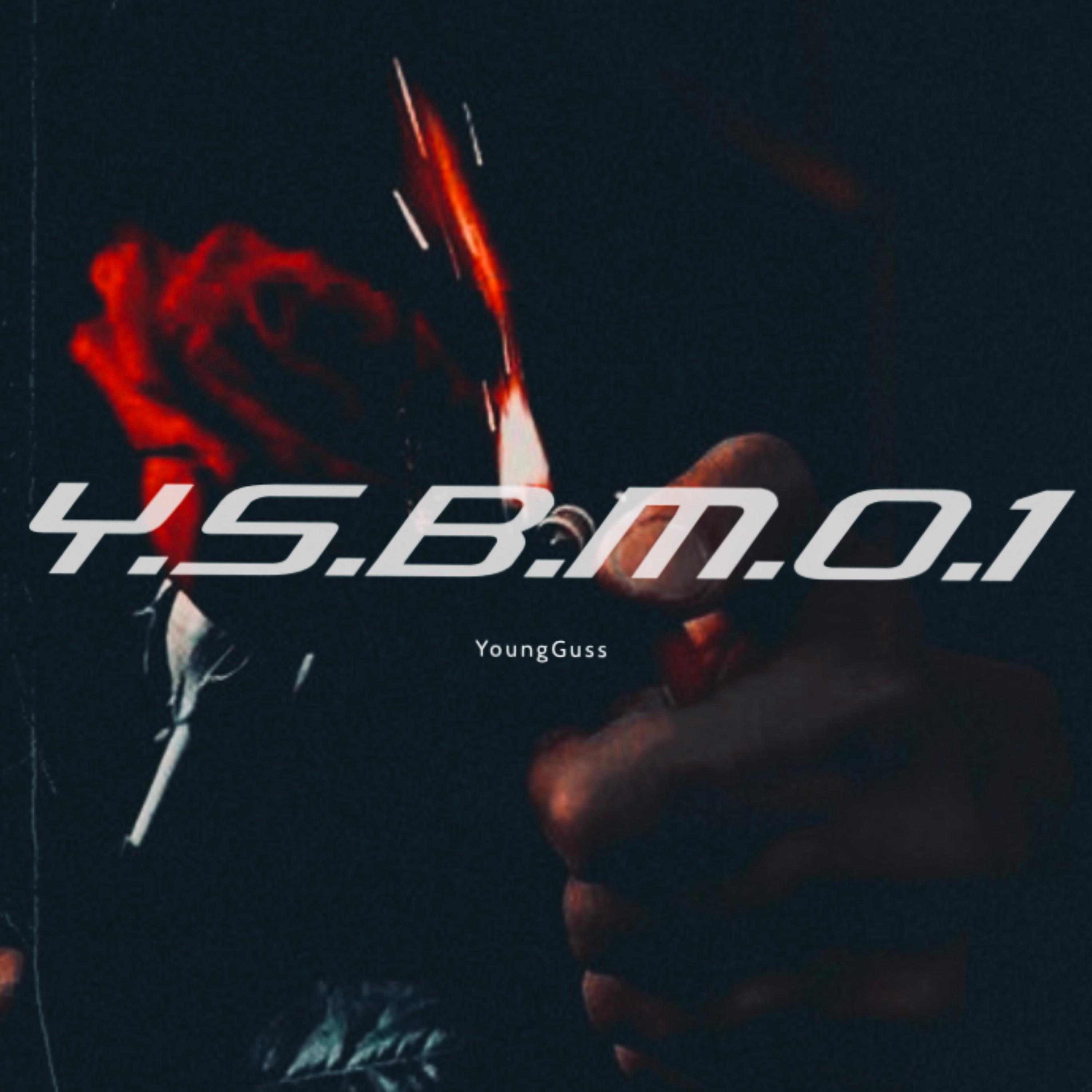 Y.S.B.M.O.1 artwork