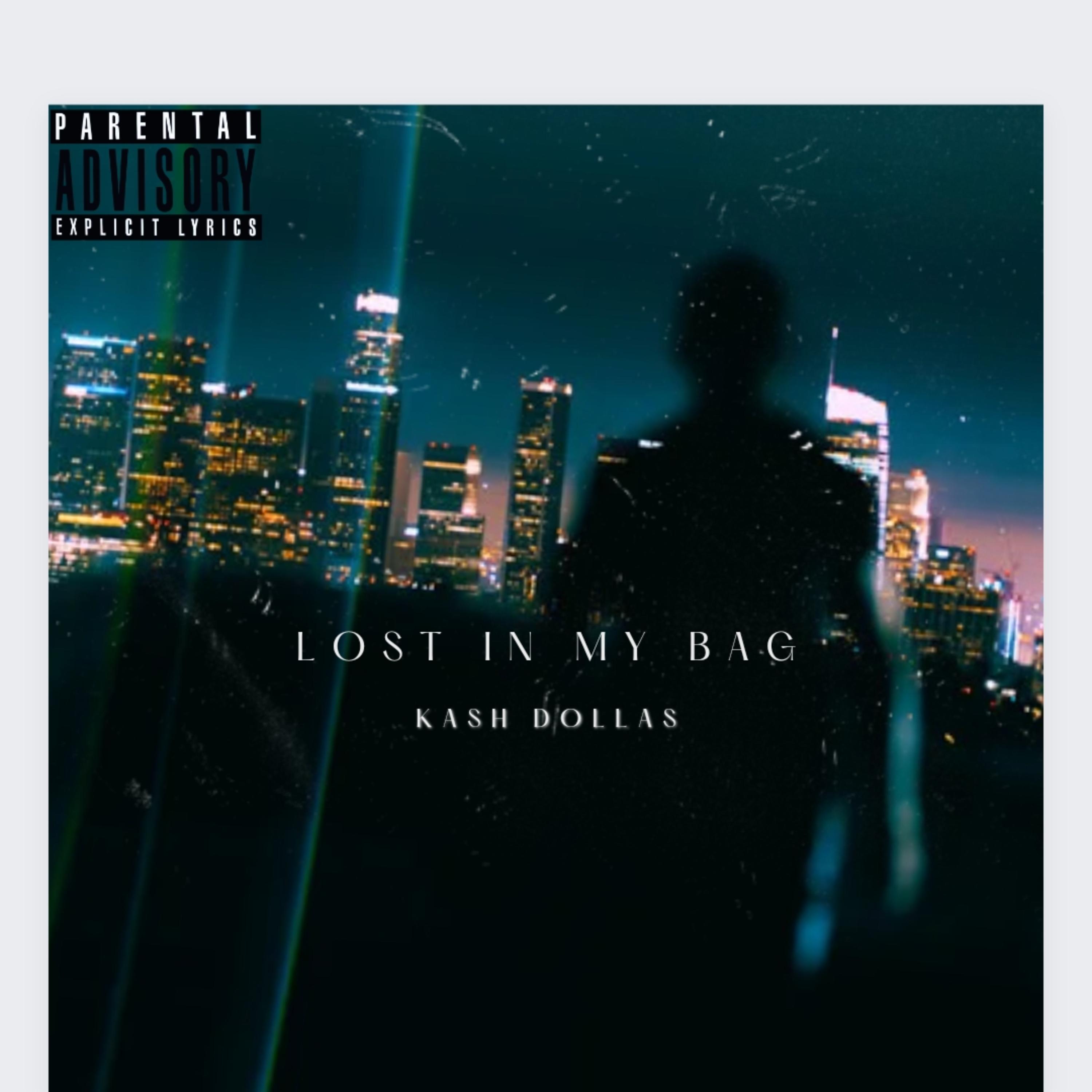 lost in my bagg artwork