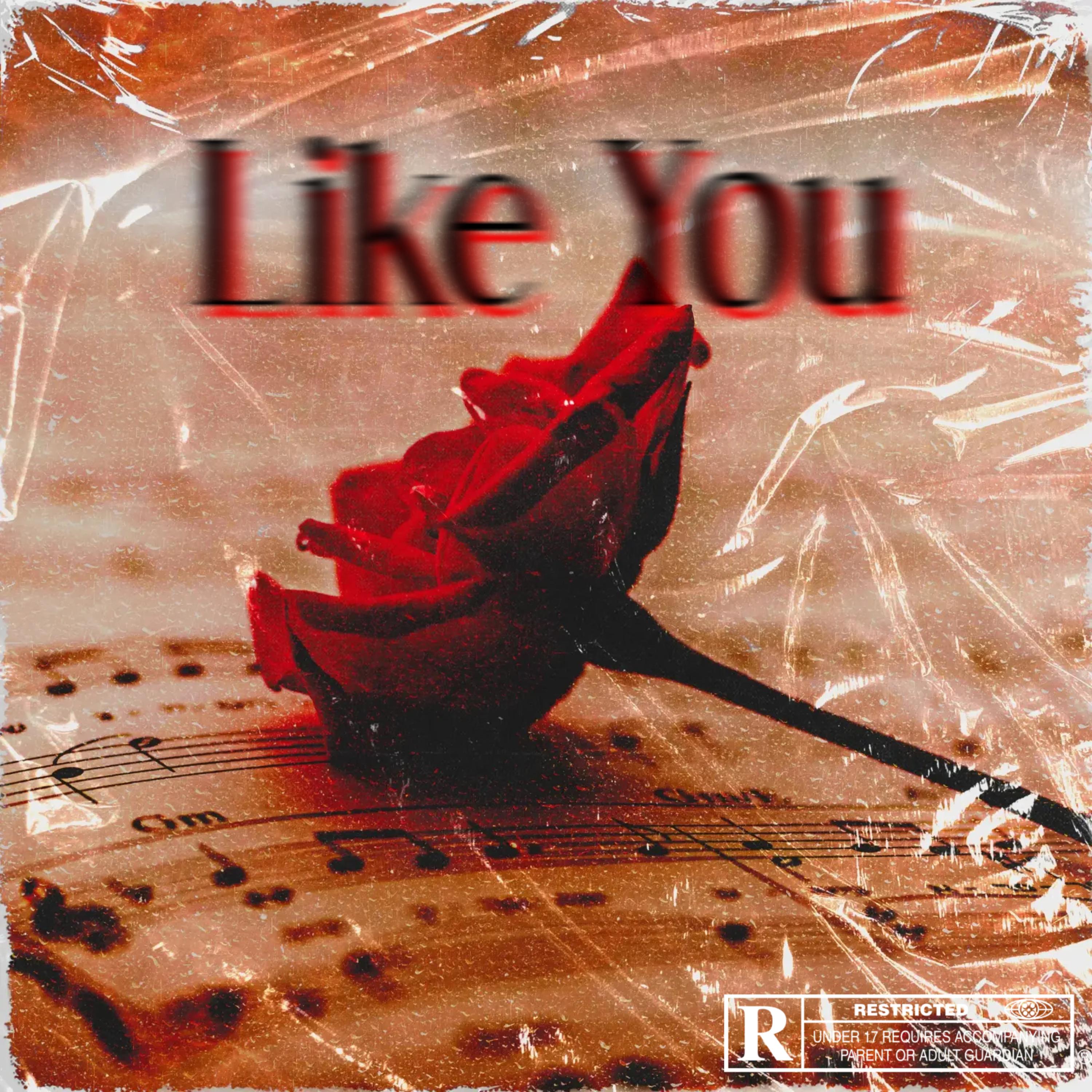Like You artwork