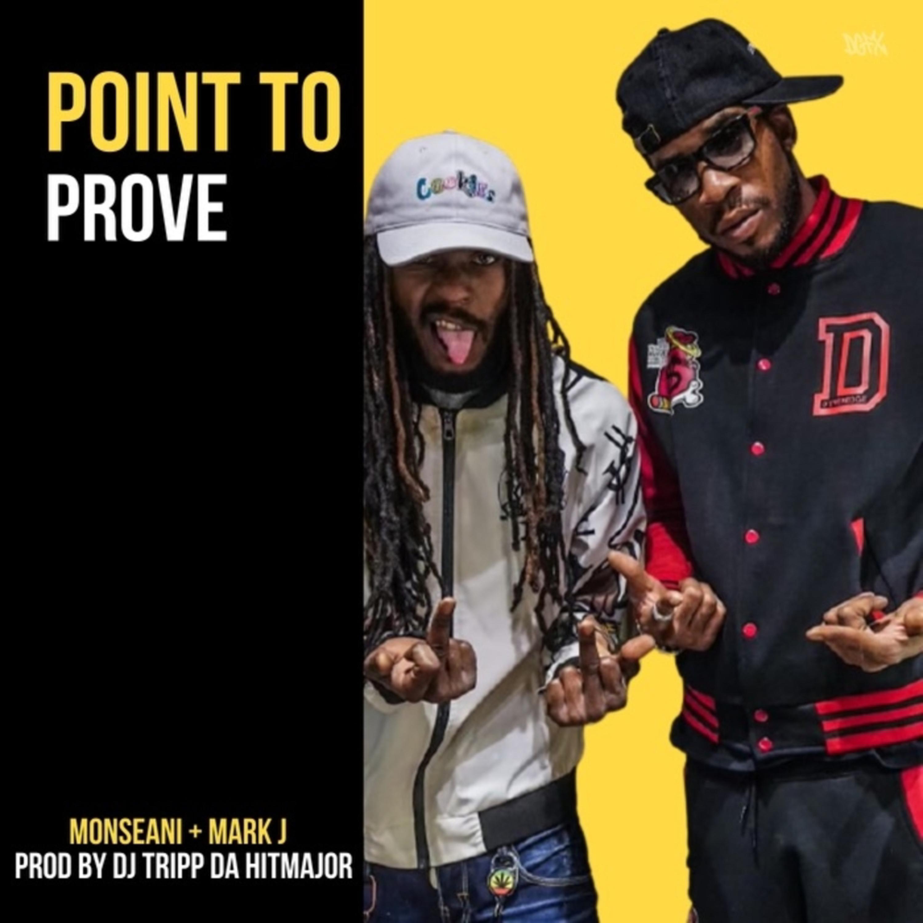 Point To Prove artwork
