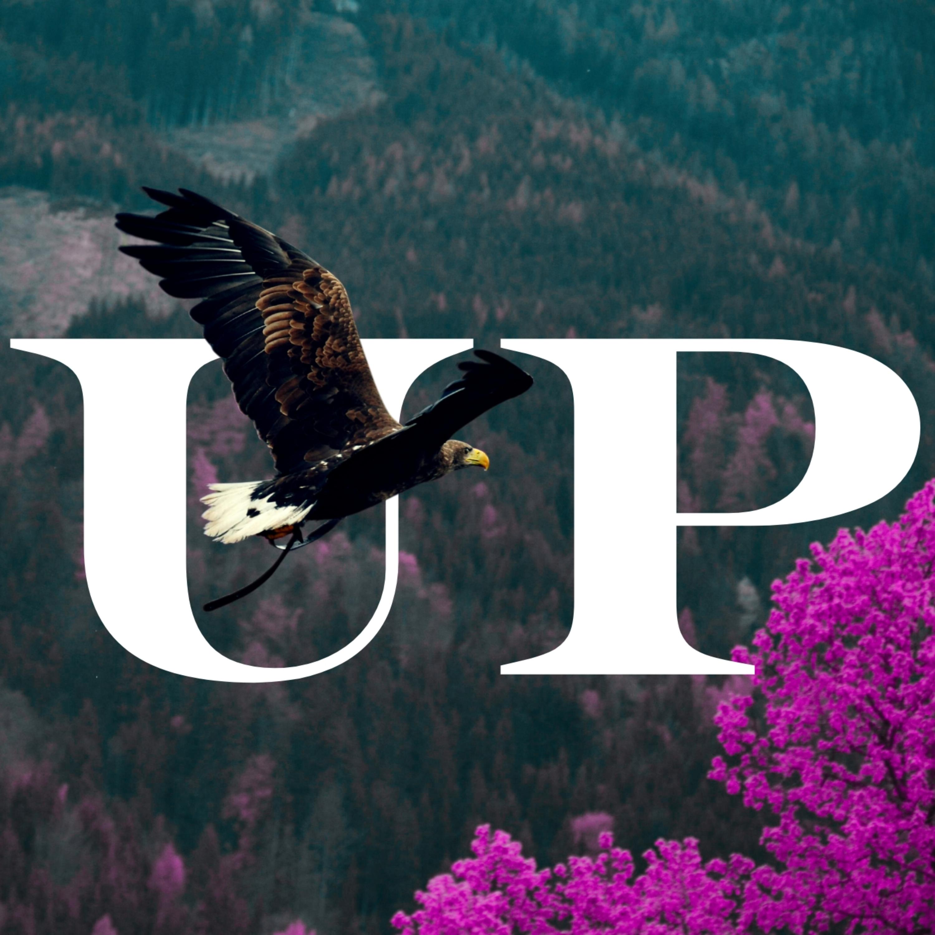 UP by Greyson Relix cover art
