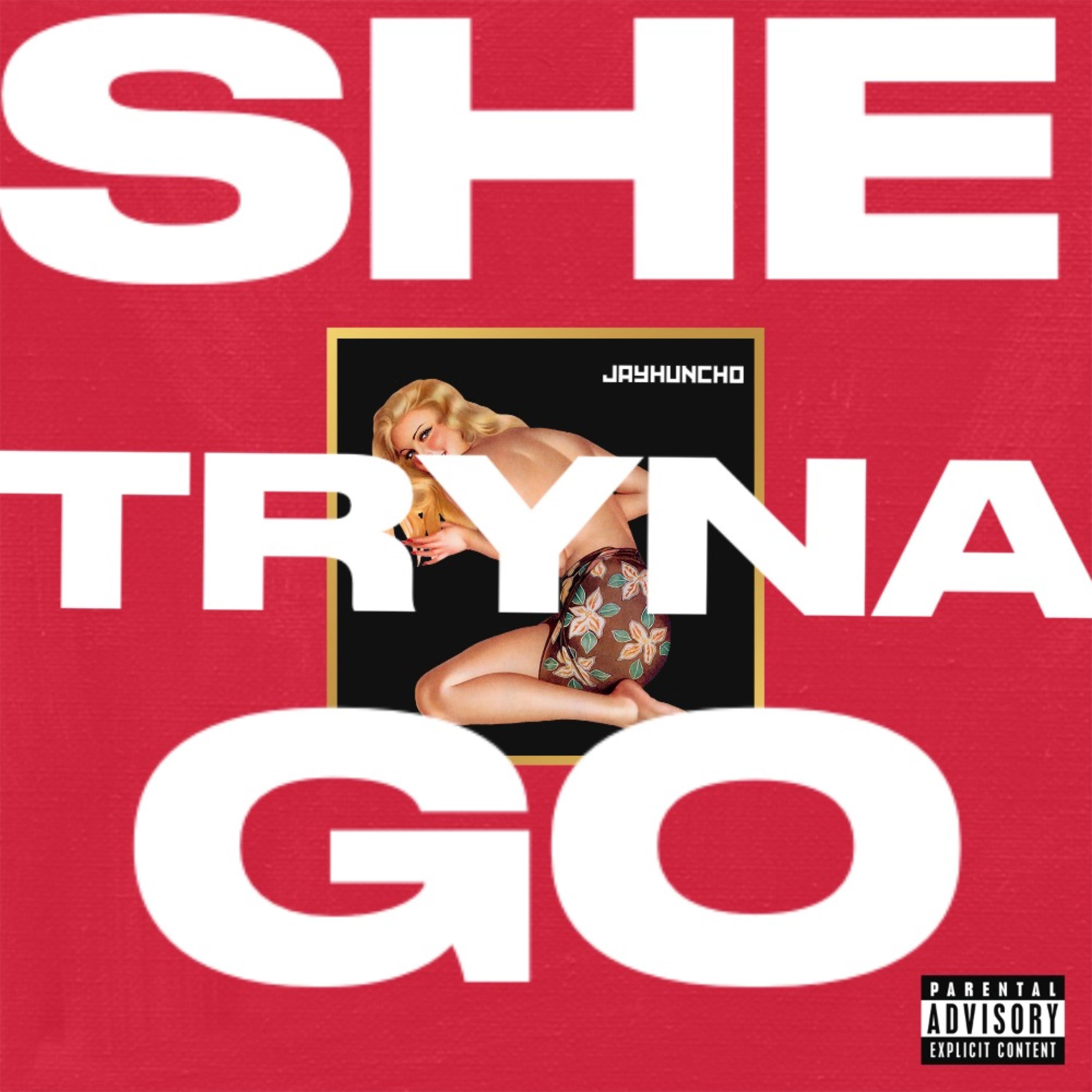 she tryna go artwork
