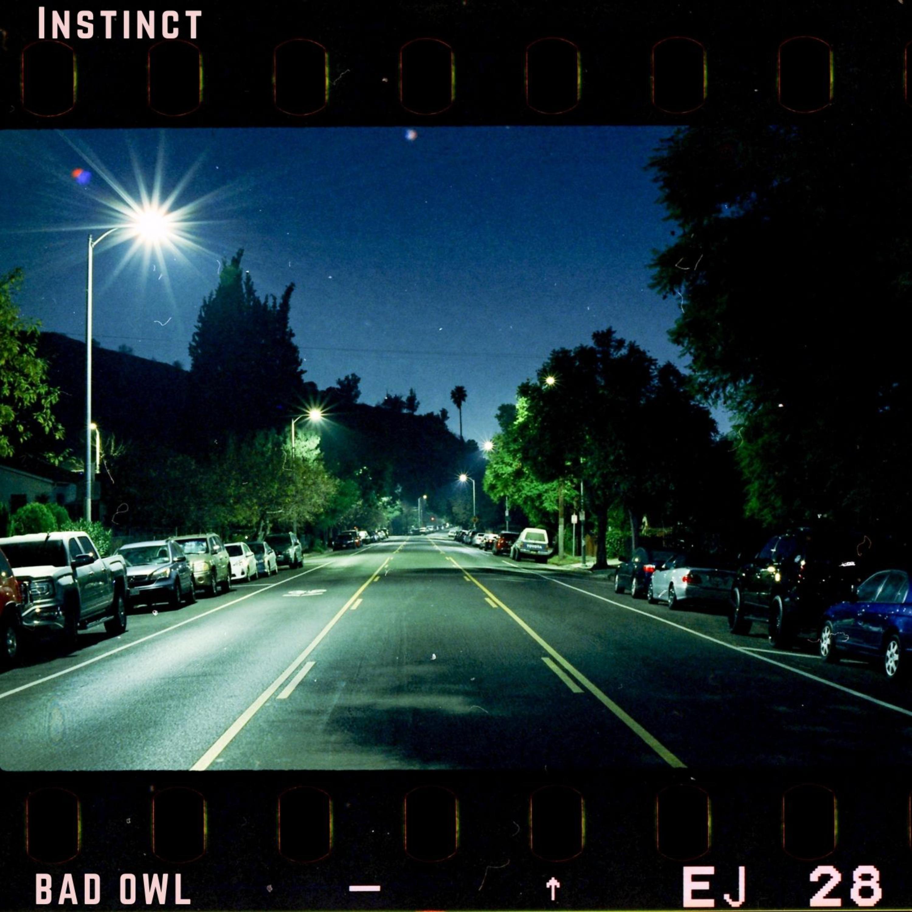 Instinct artwork