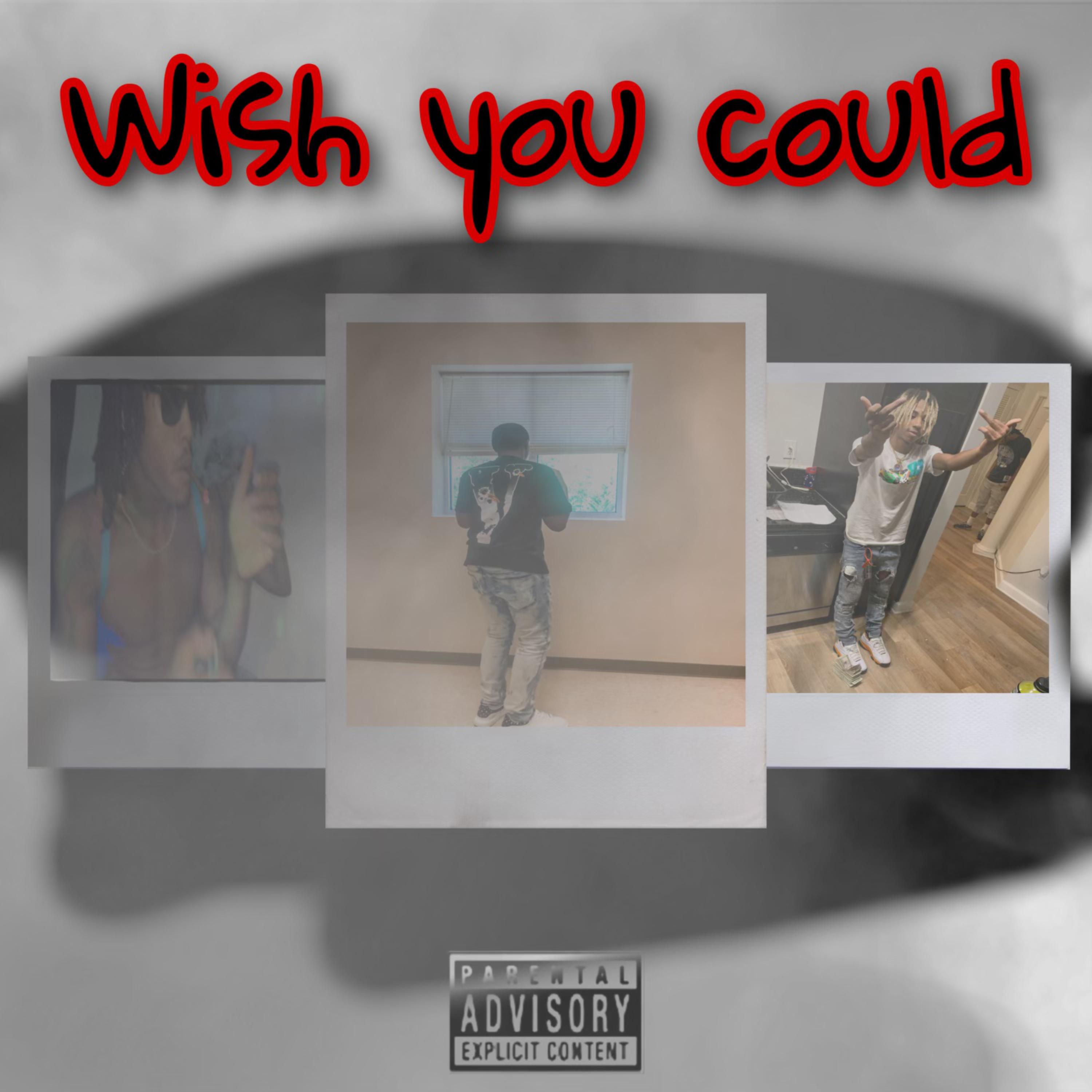 Wish You Could artwork