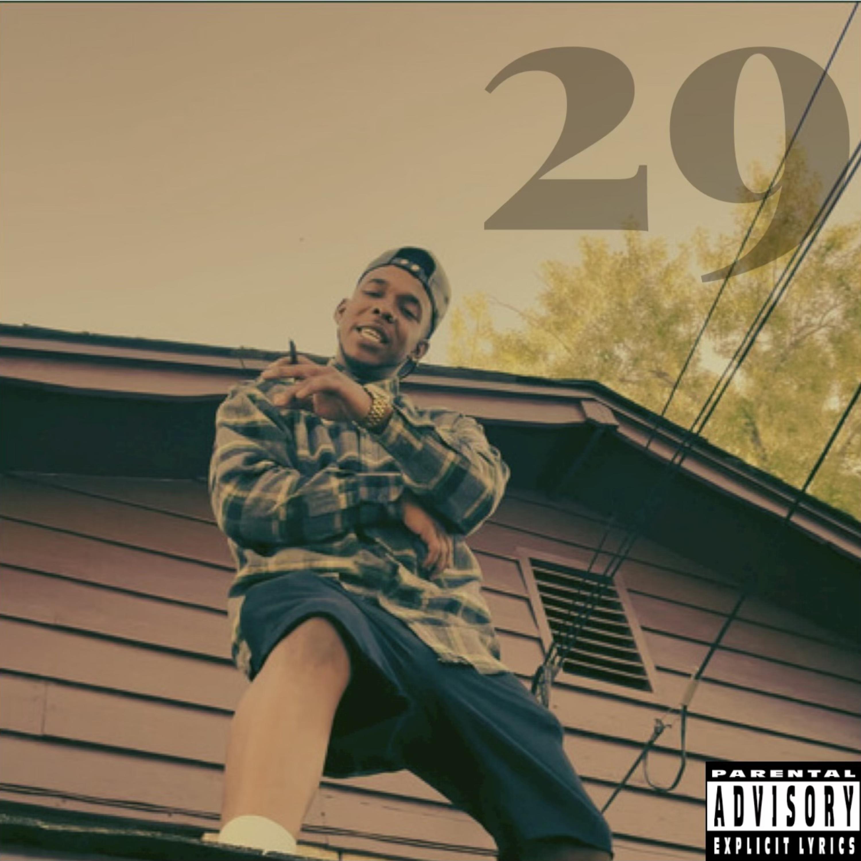 29 artwork