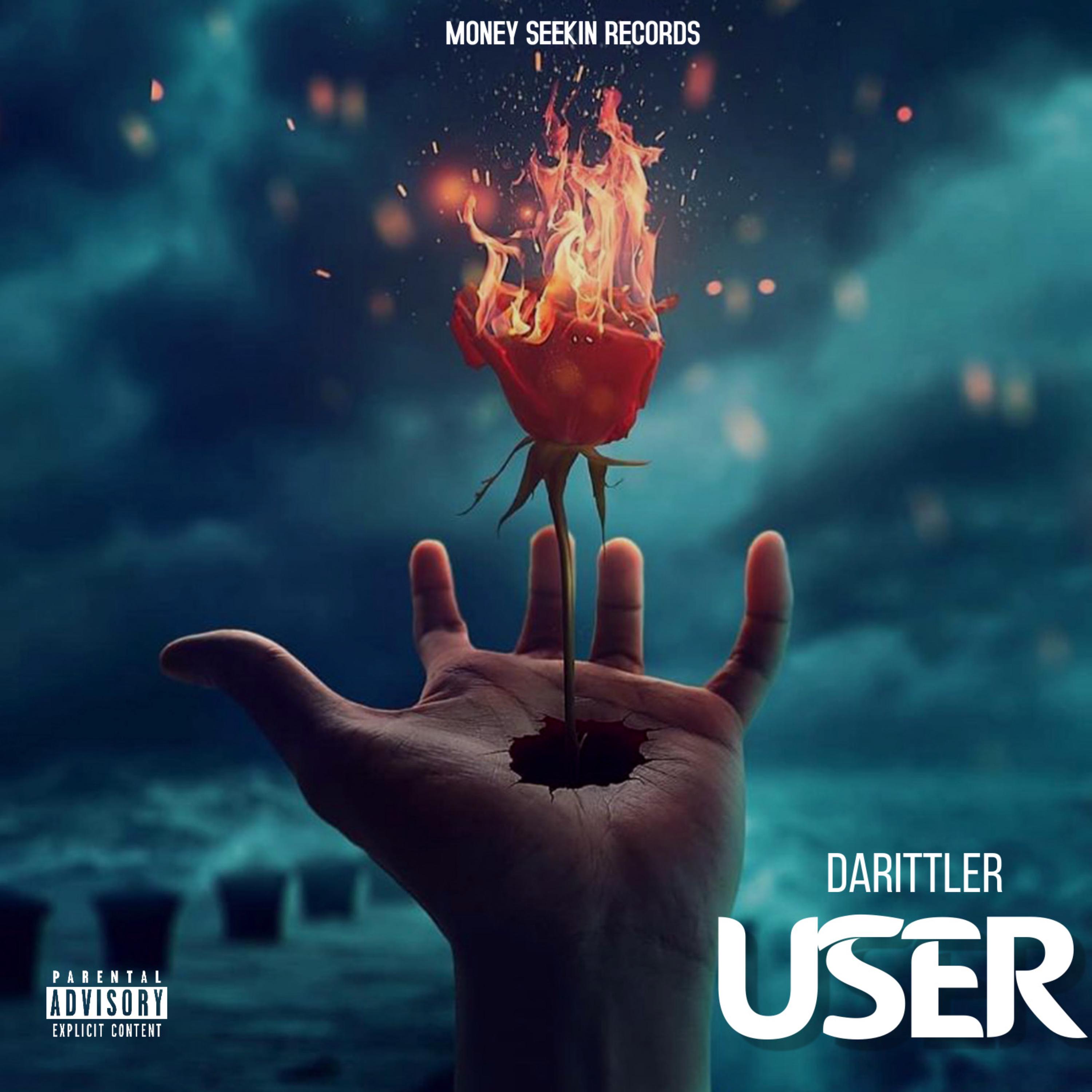 User by Darittler cover art