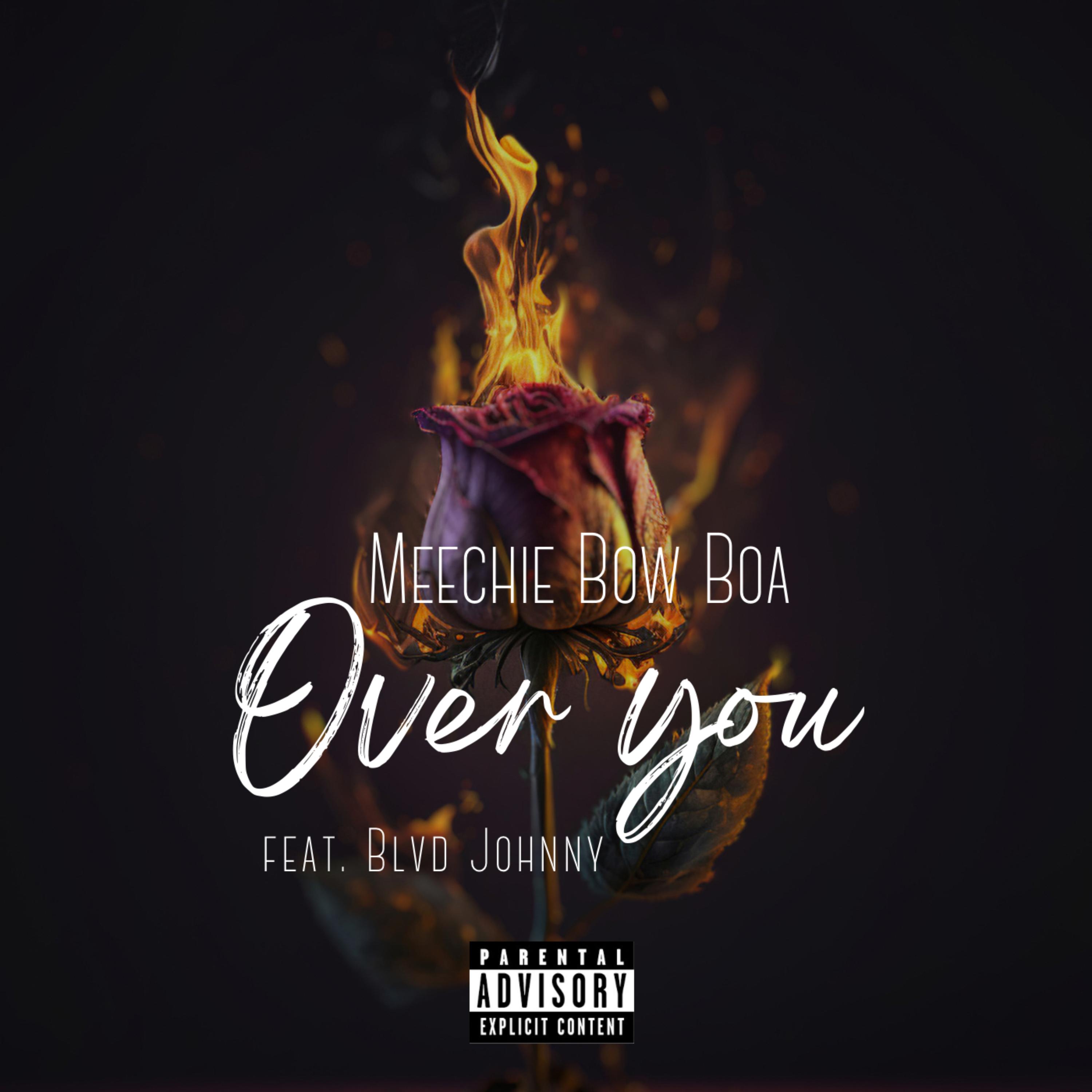 Over You artwork