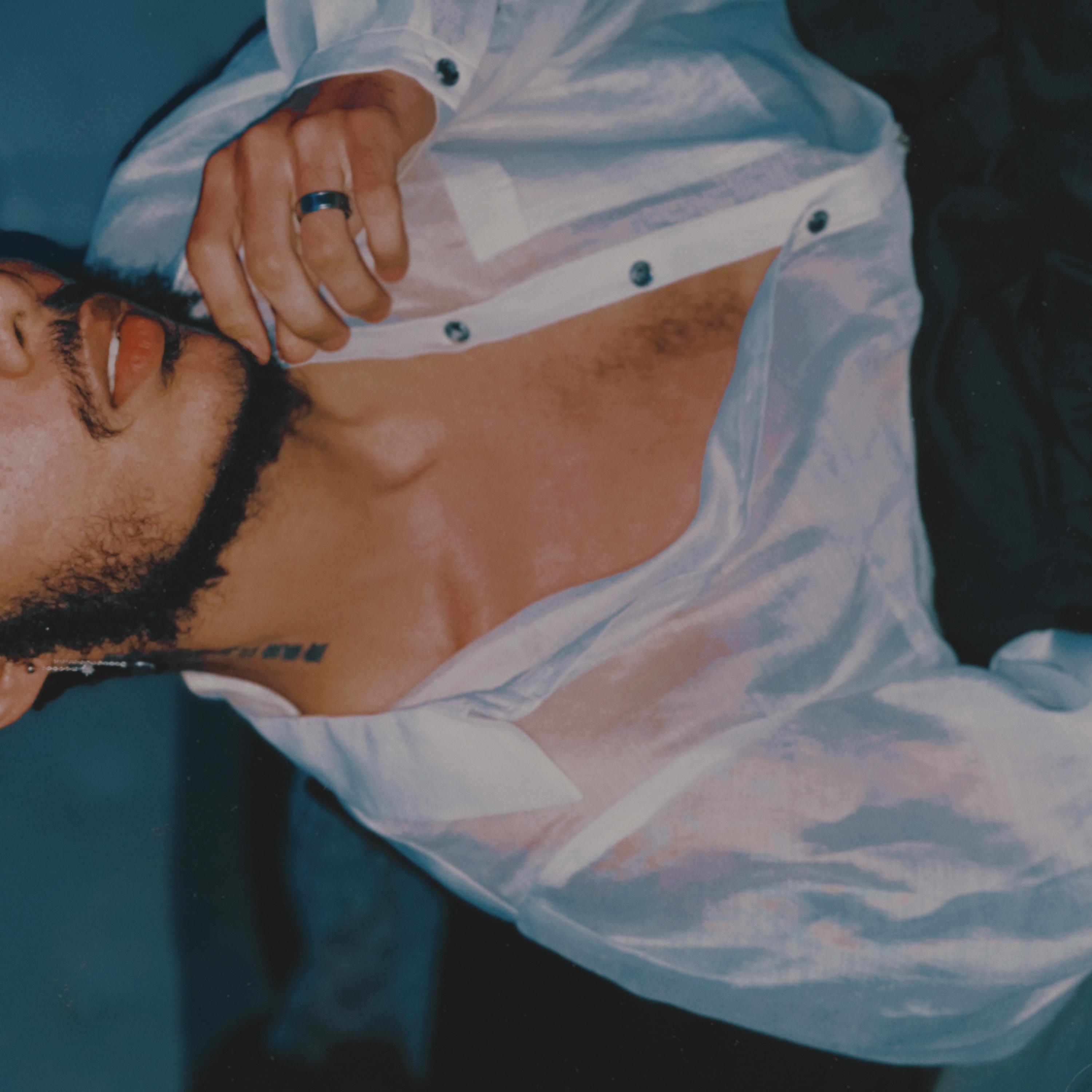 private party (extended) artwork