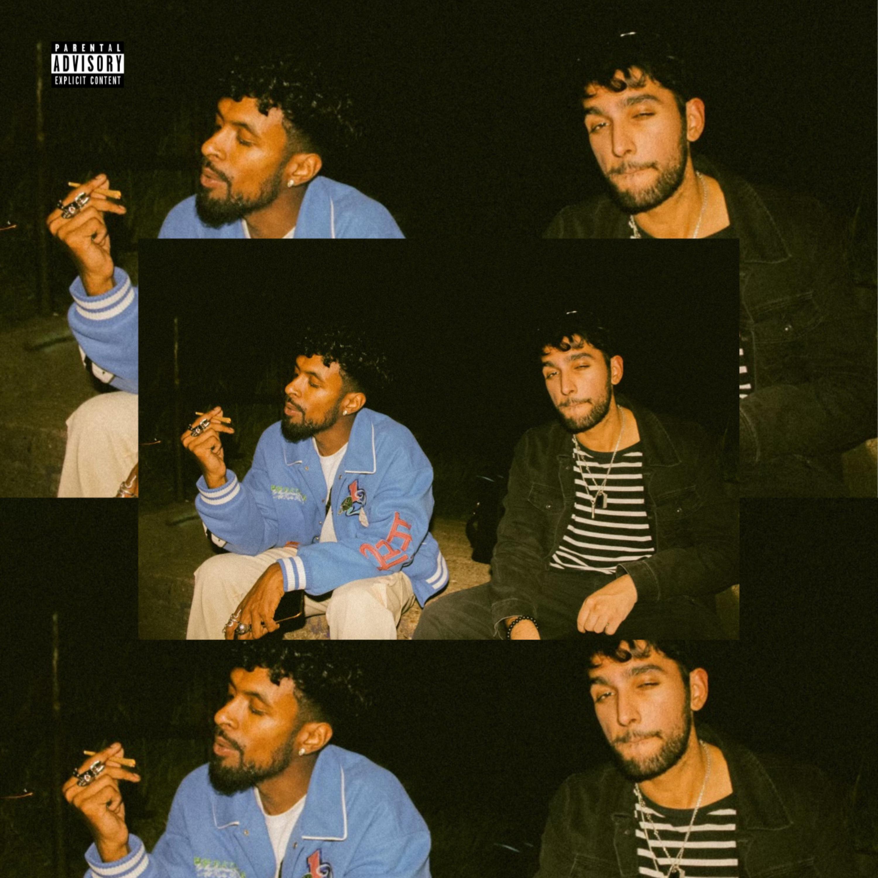 Fly artwork