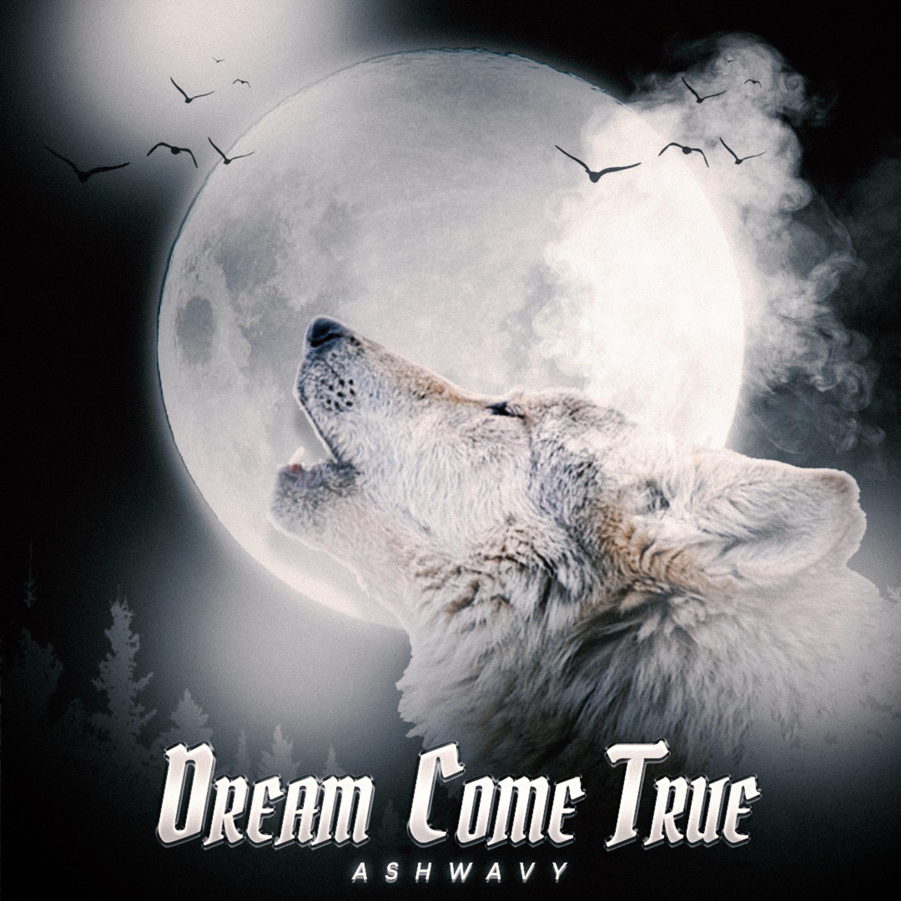 Dream Come True artwork