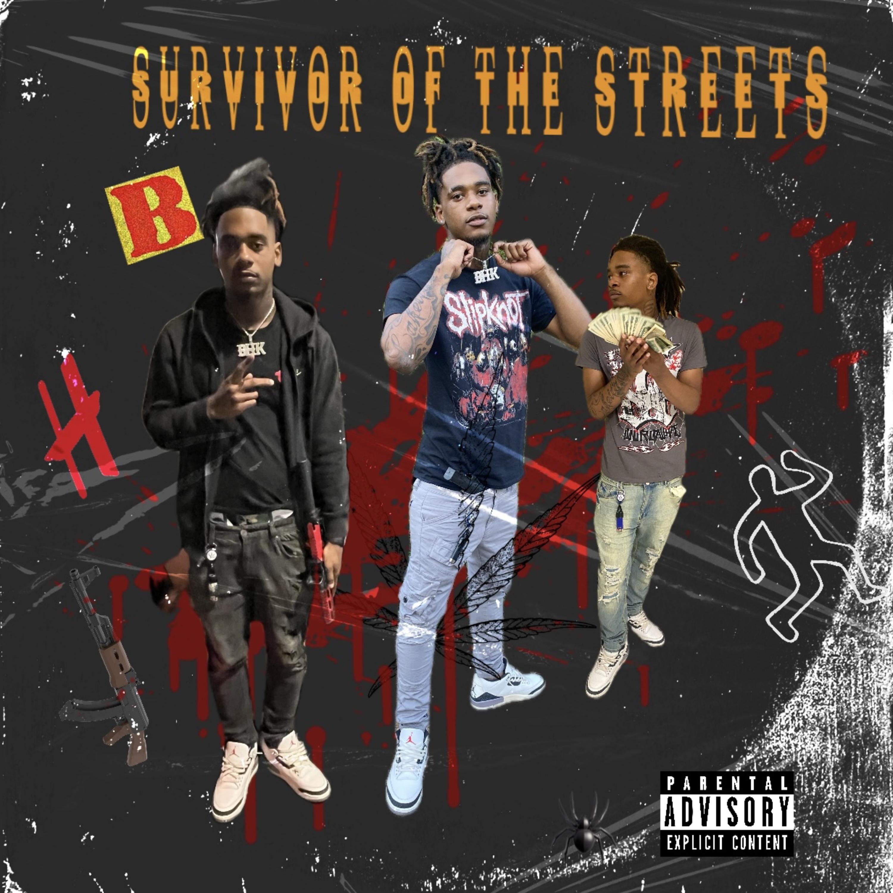 Survivor Of The Streets 1 artwork