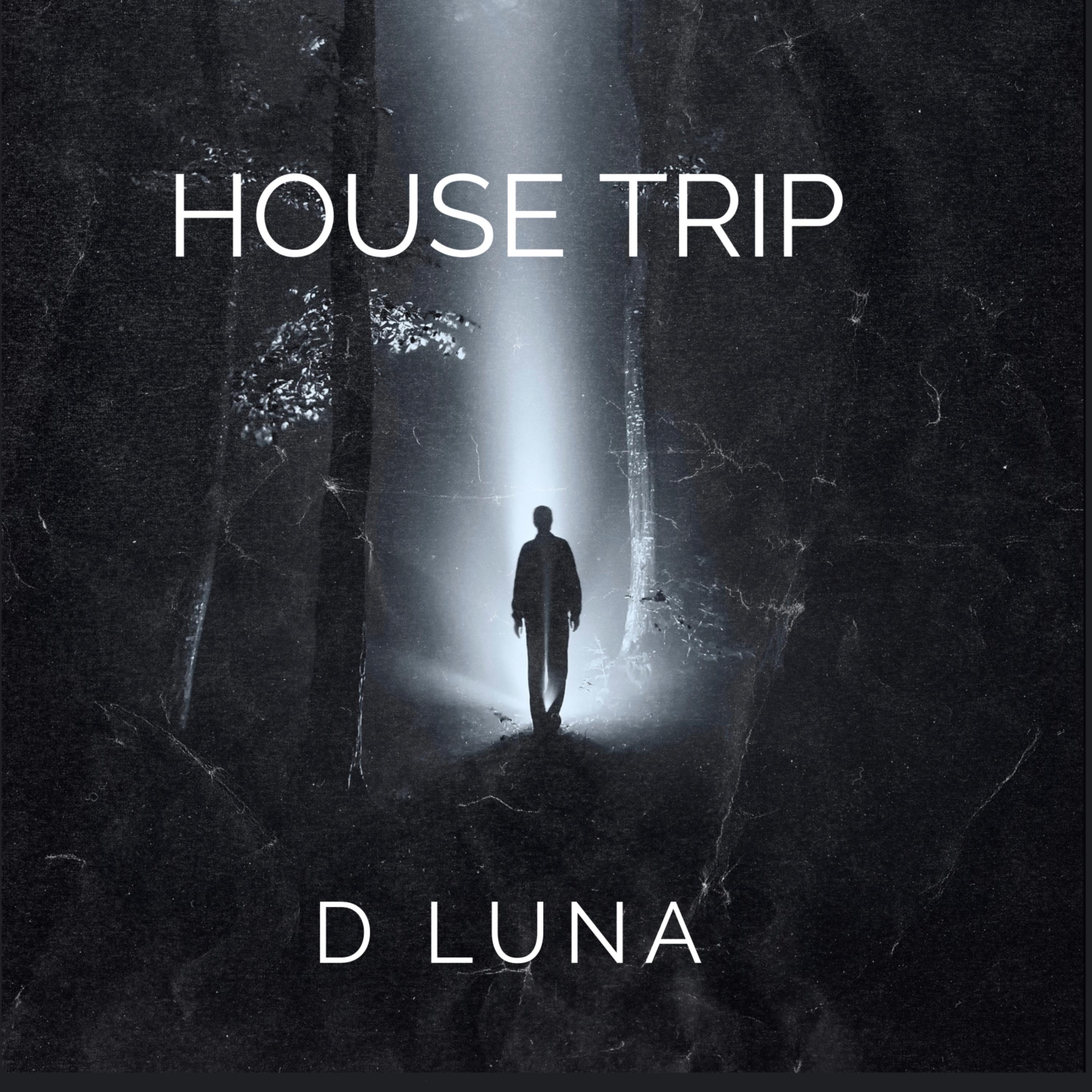 HOUSE TRIP artwork