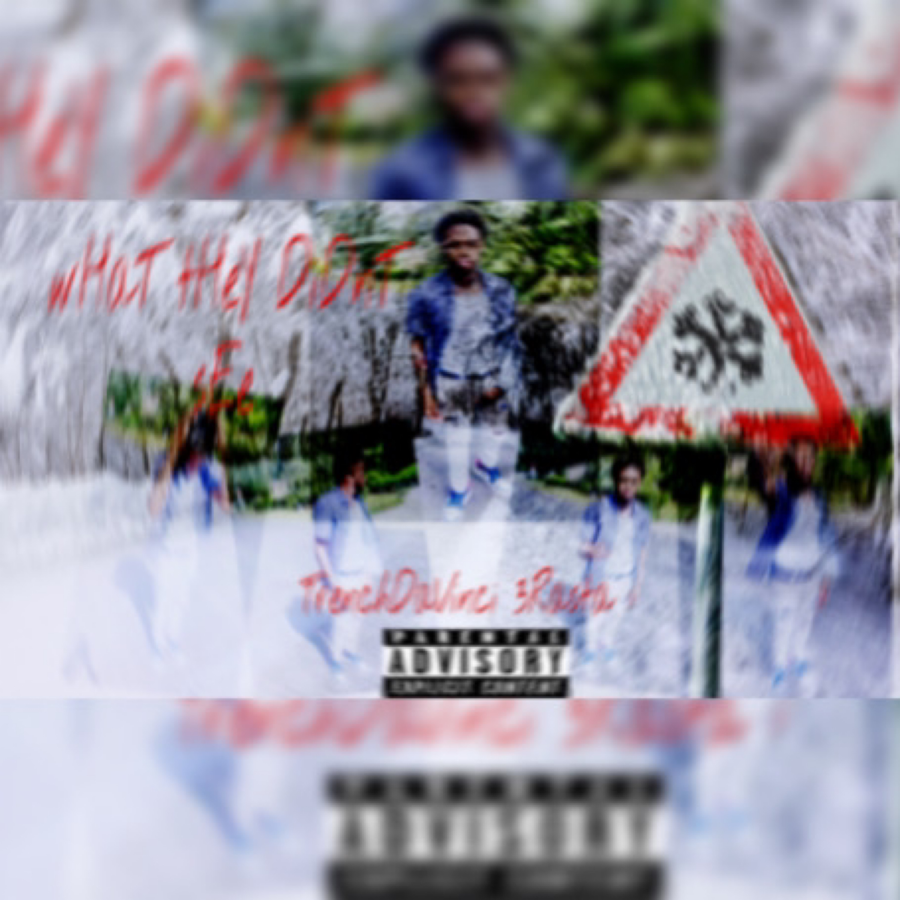 wHaT tHeY DiDnT sEe artwork