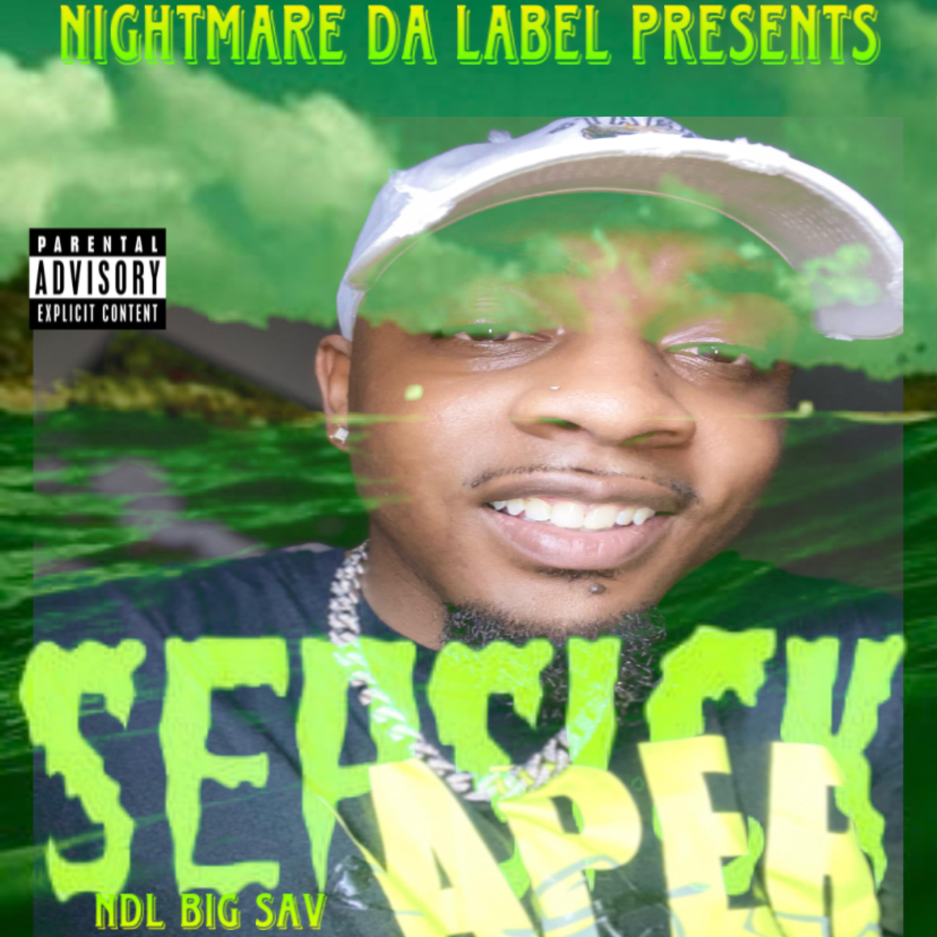 Sea Sick artwork