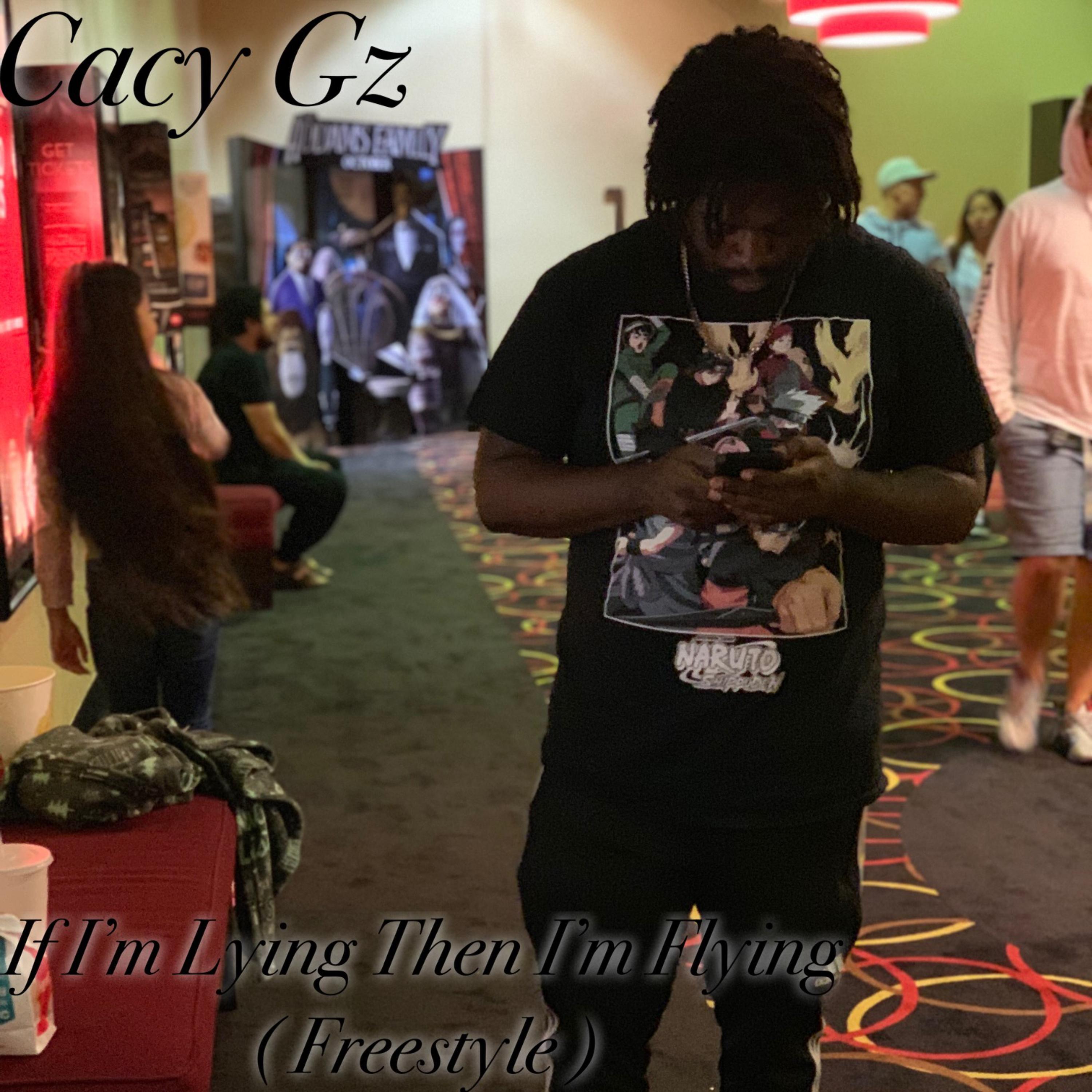 If I'm Lying Then I'm Flying ( Freestyle ) artwork