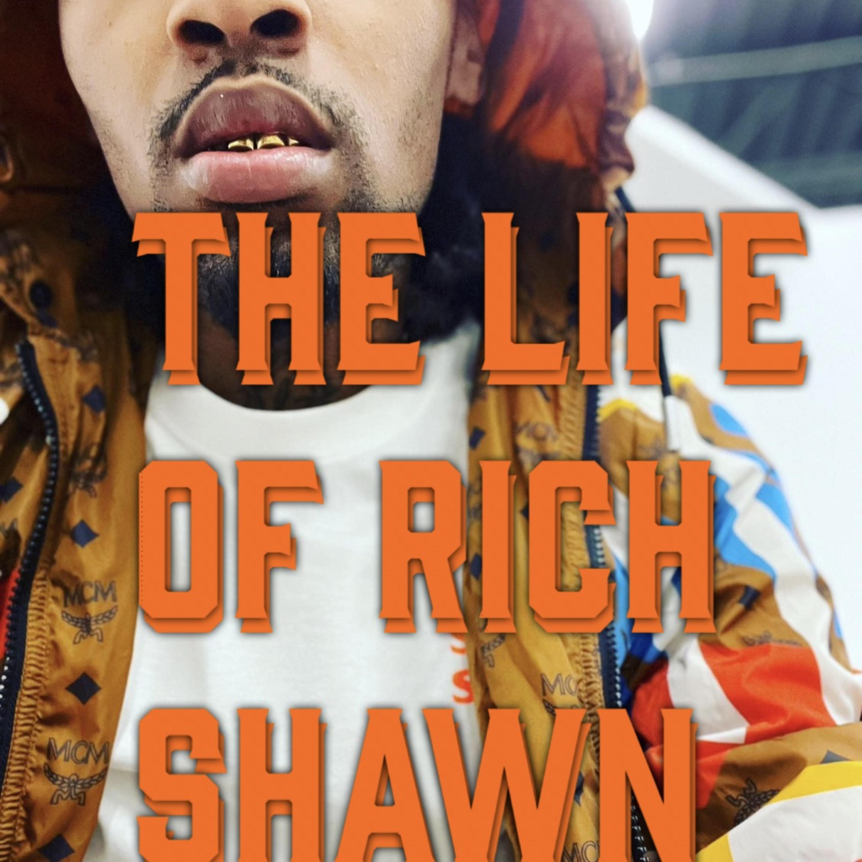The Life Of Rich Shawn artwork