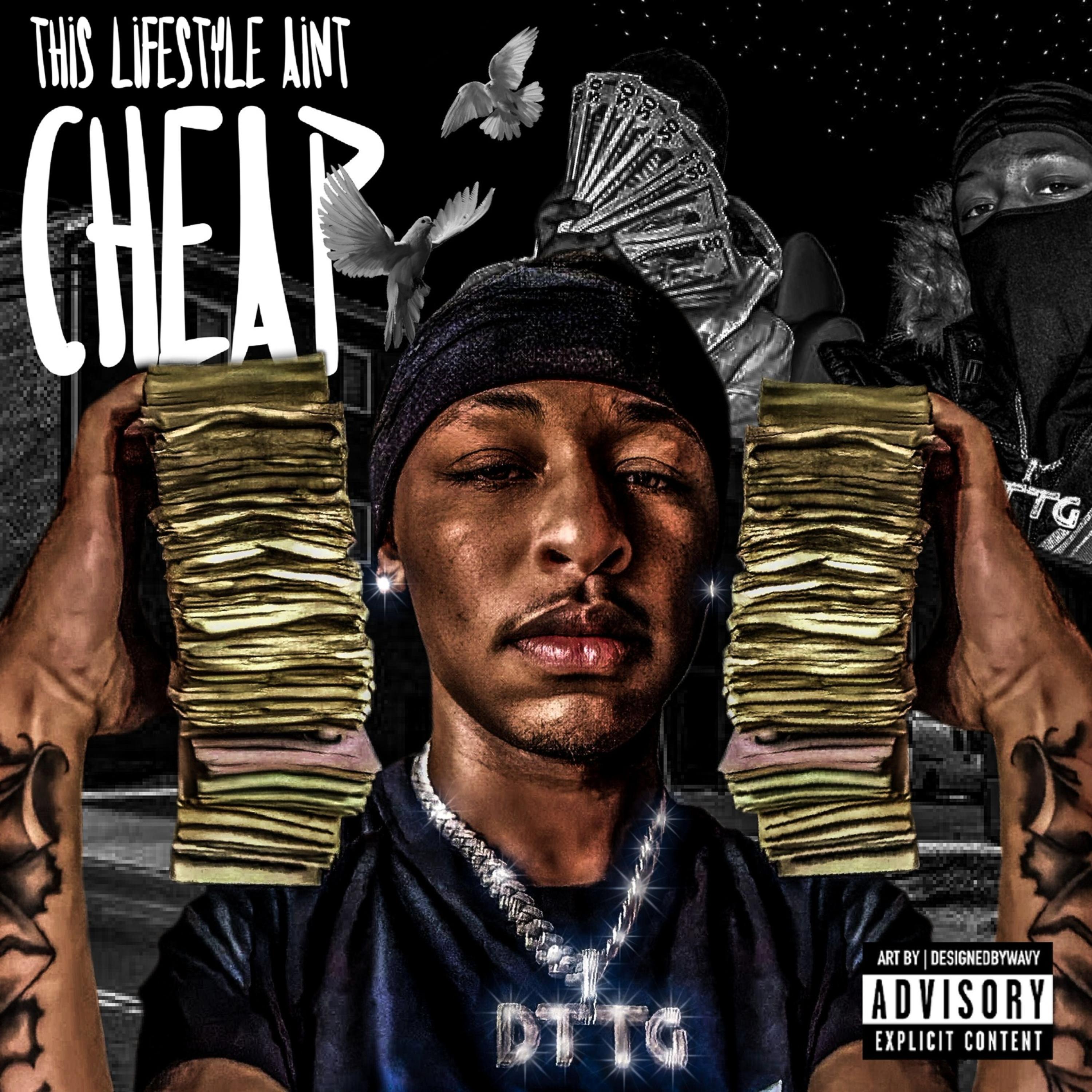 This Lifestyle Aint Cheap artwork