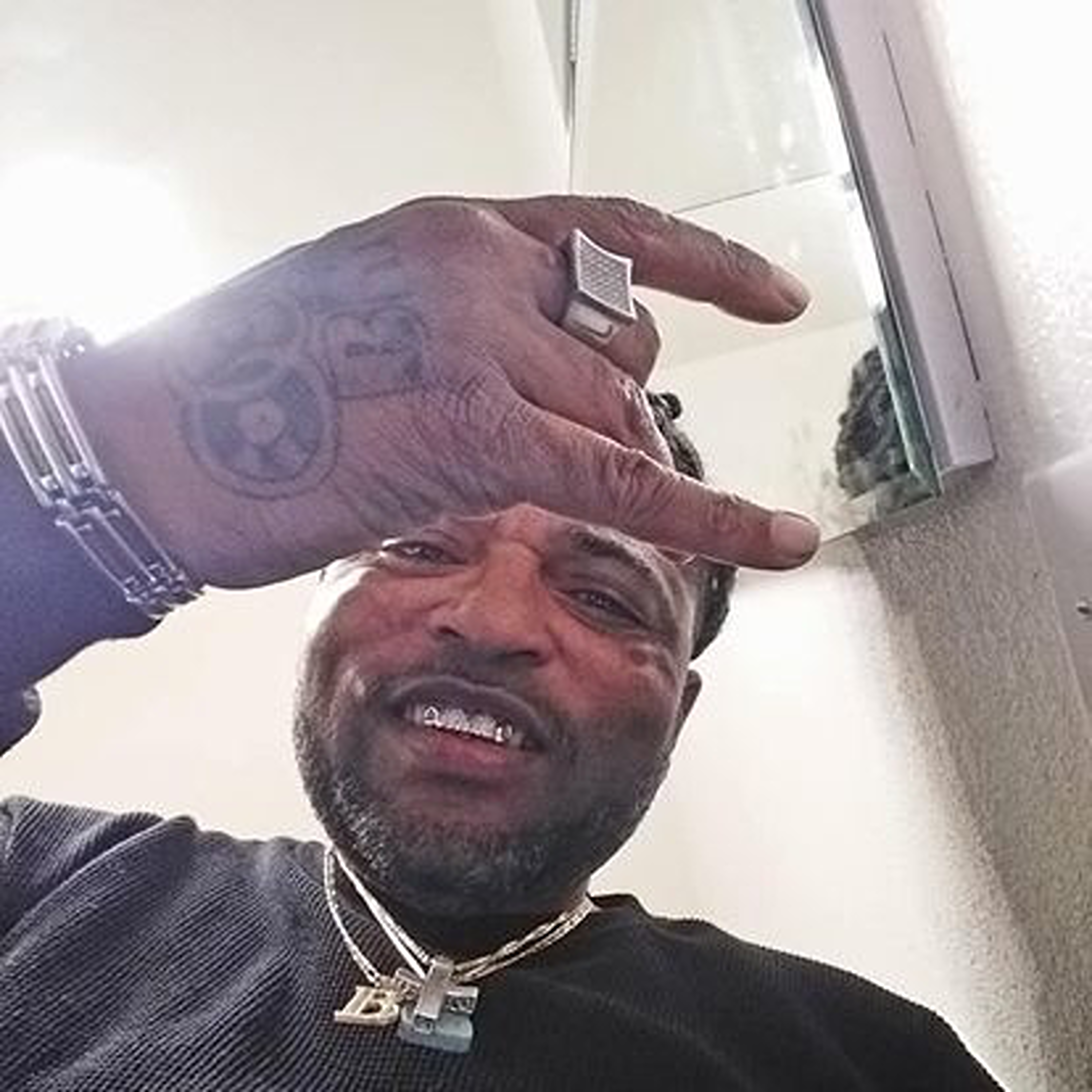 BONAFIED ANIMALE artwork