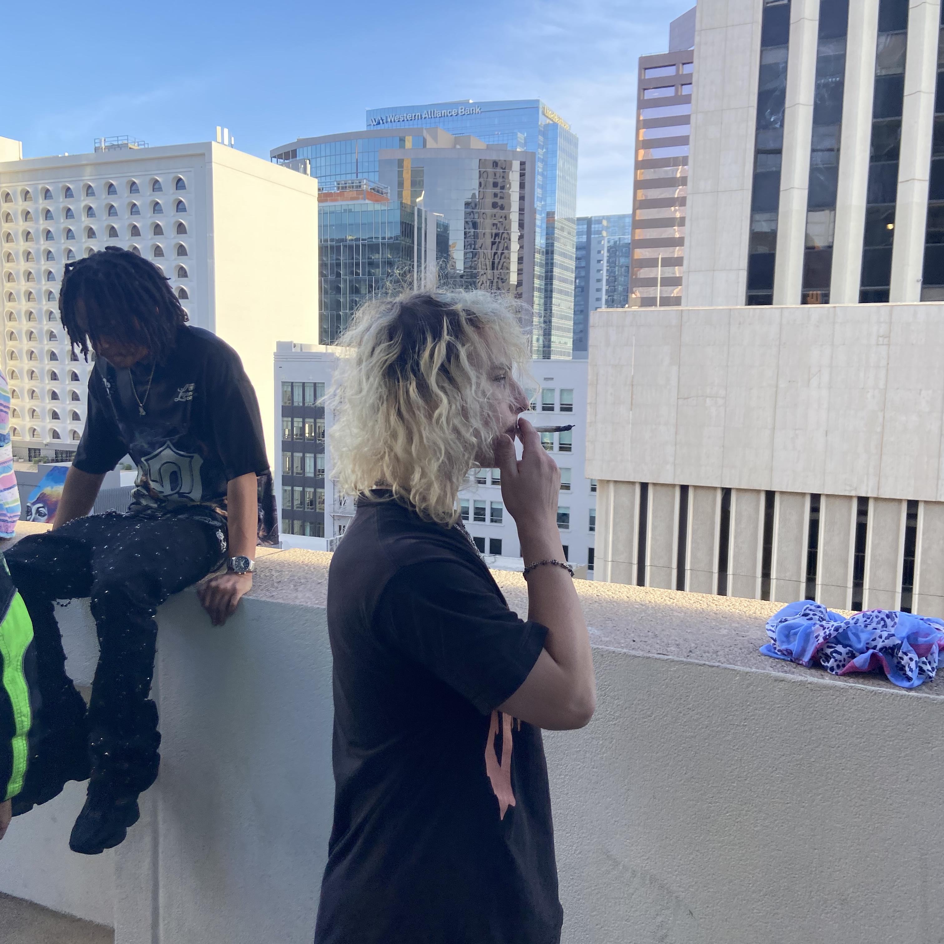 fried by nevr2much cover art