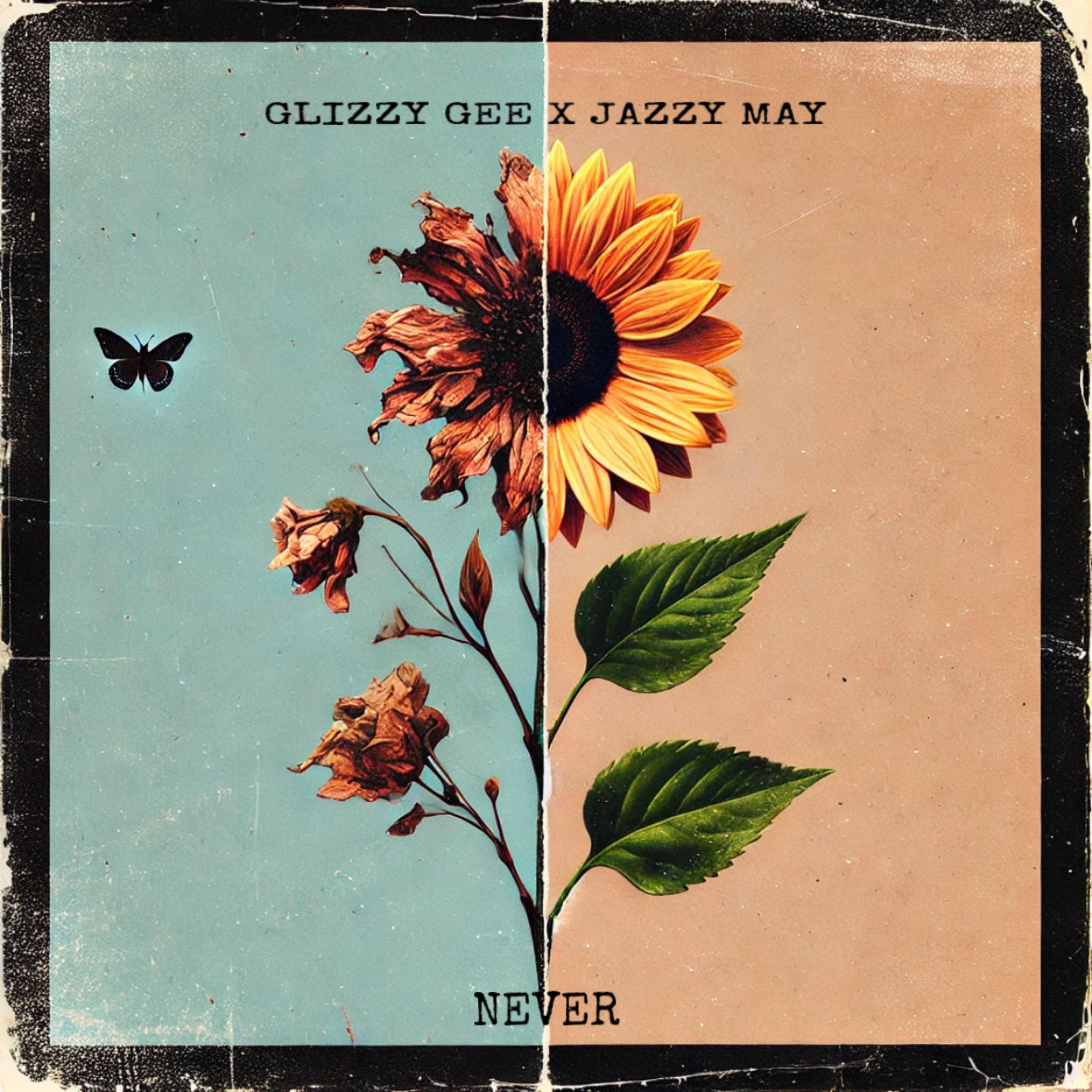 Never artwork