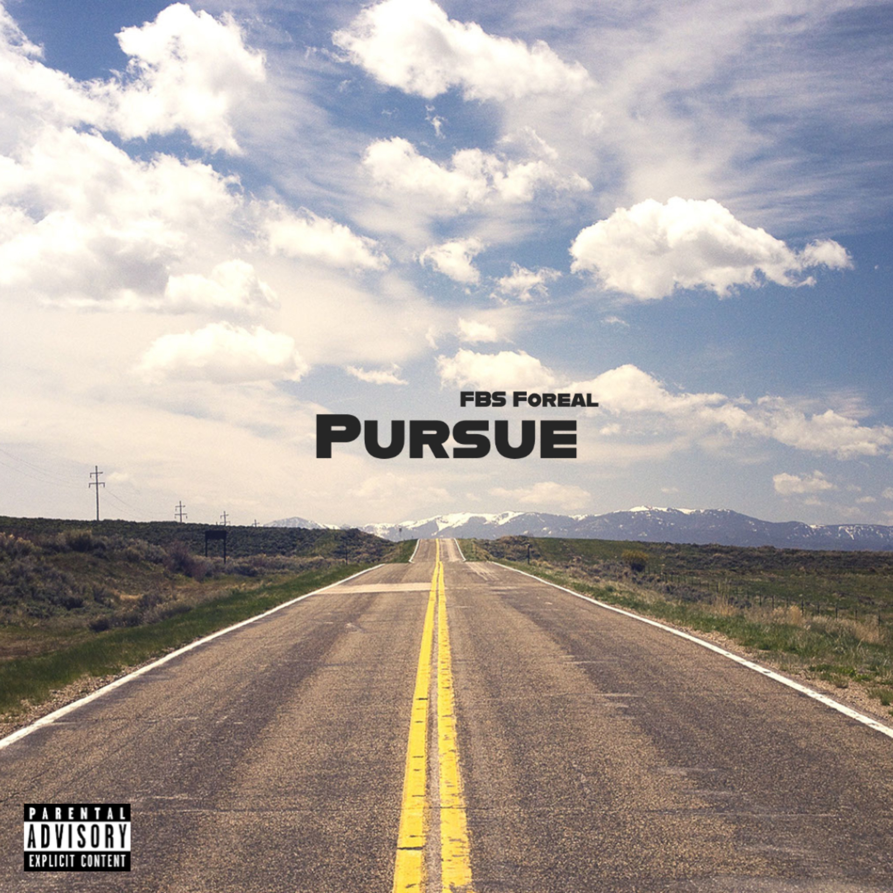 Pursue artwork