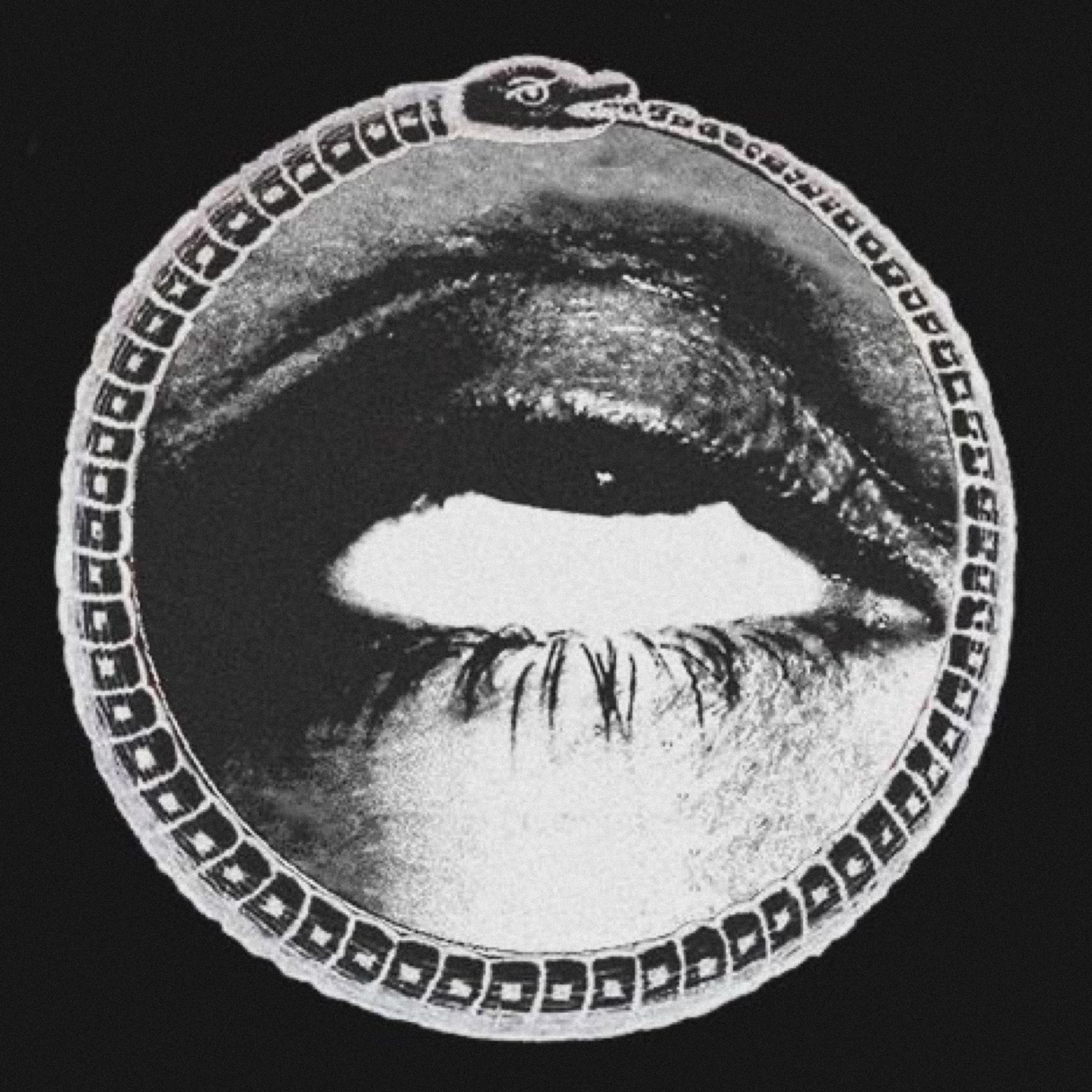 deadHEAD artwork