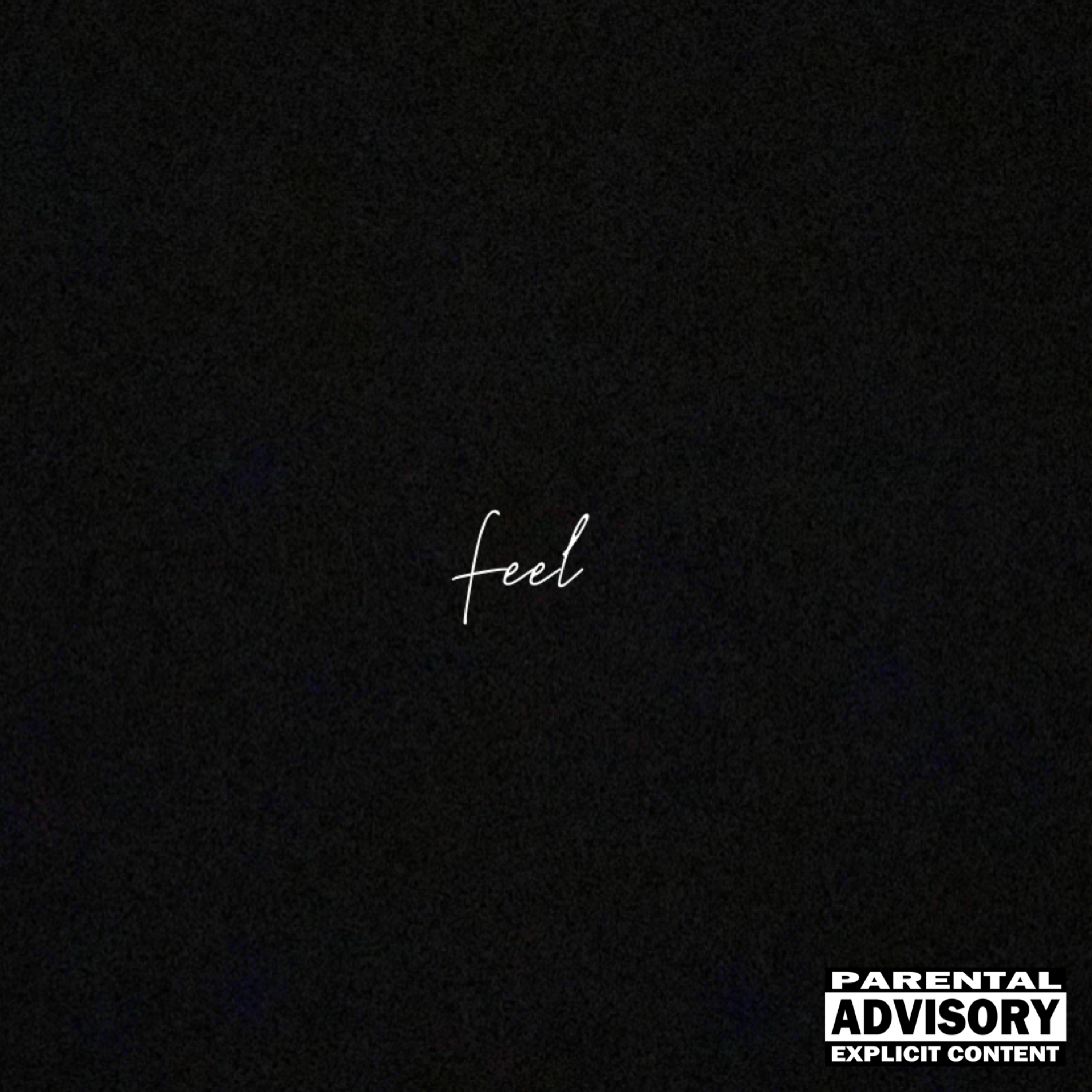 Feel artwork