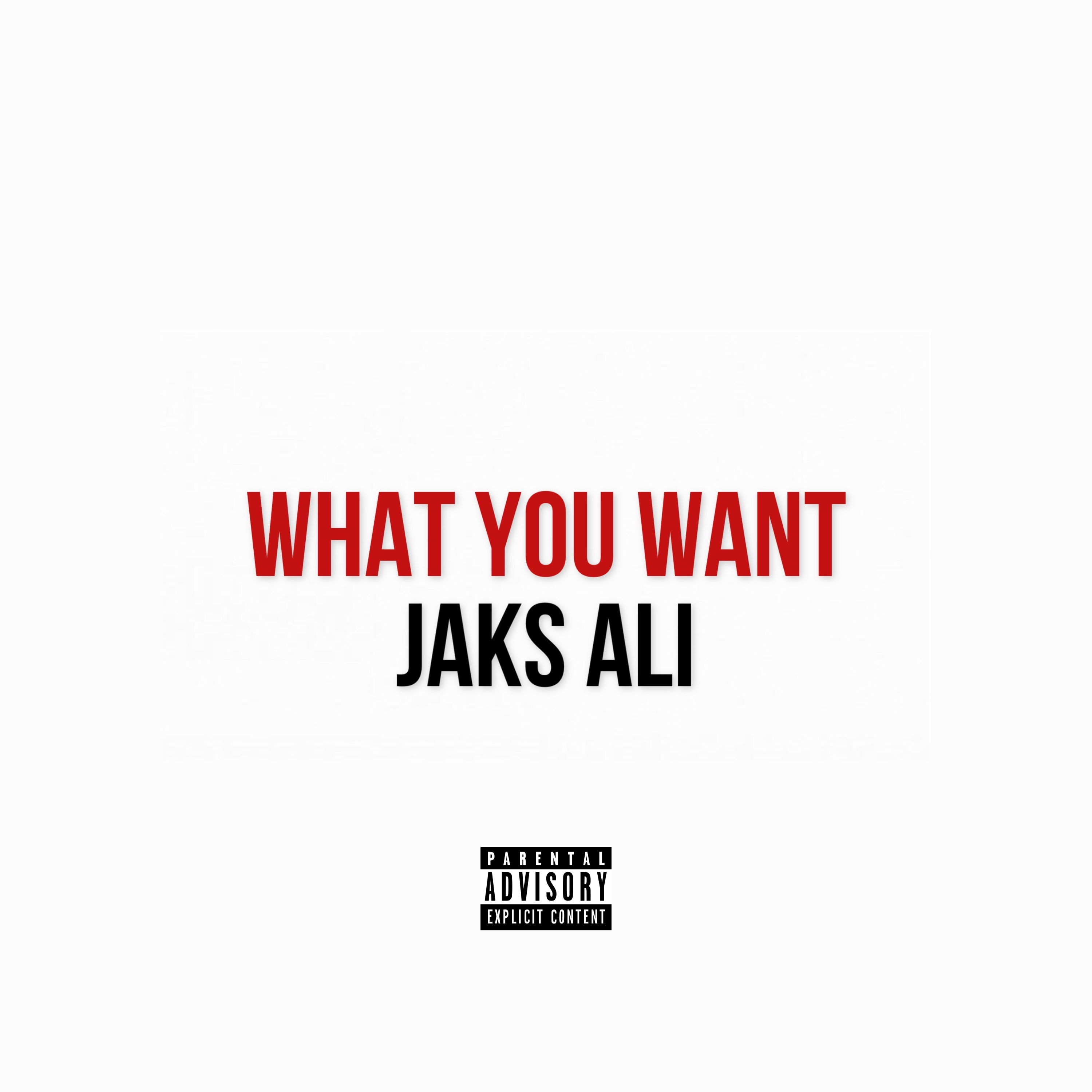What You Want artwork