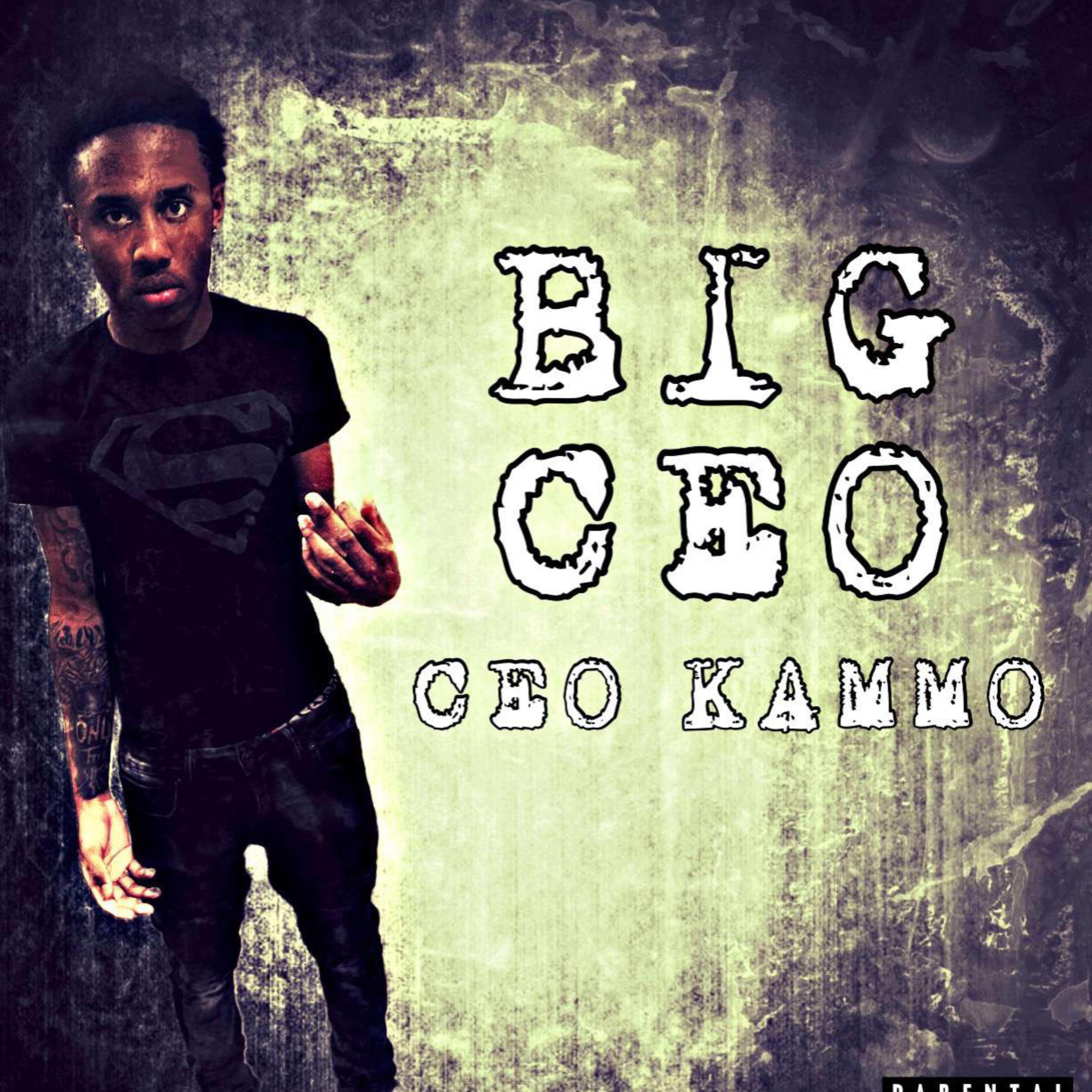 Big Ceo artwork