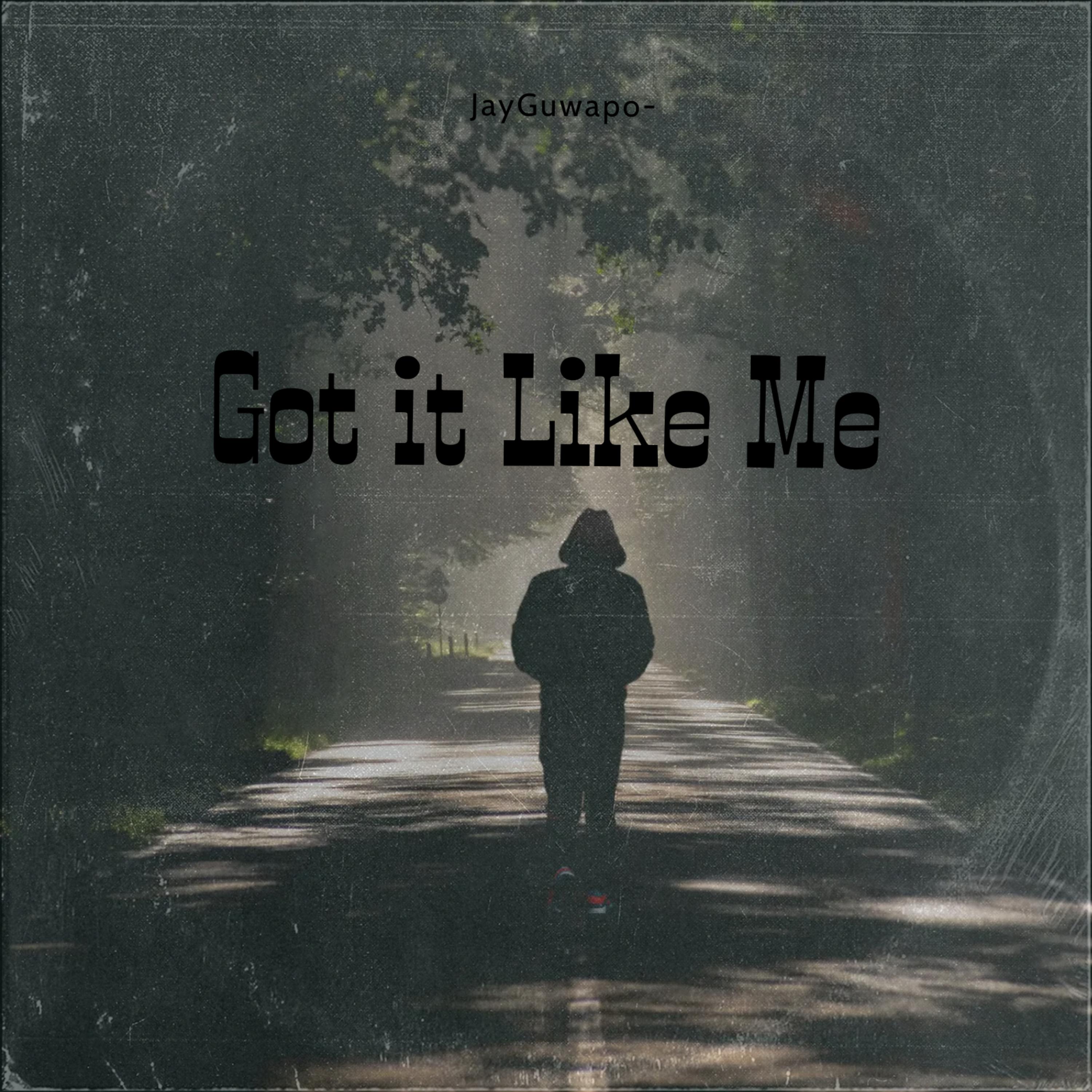 Got It Like Me artwork