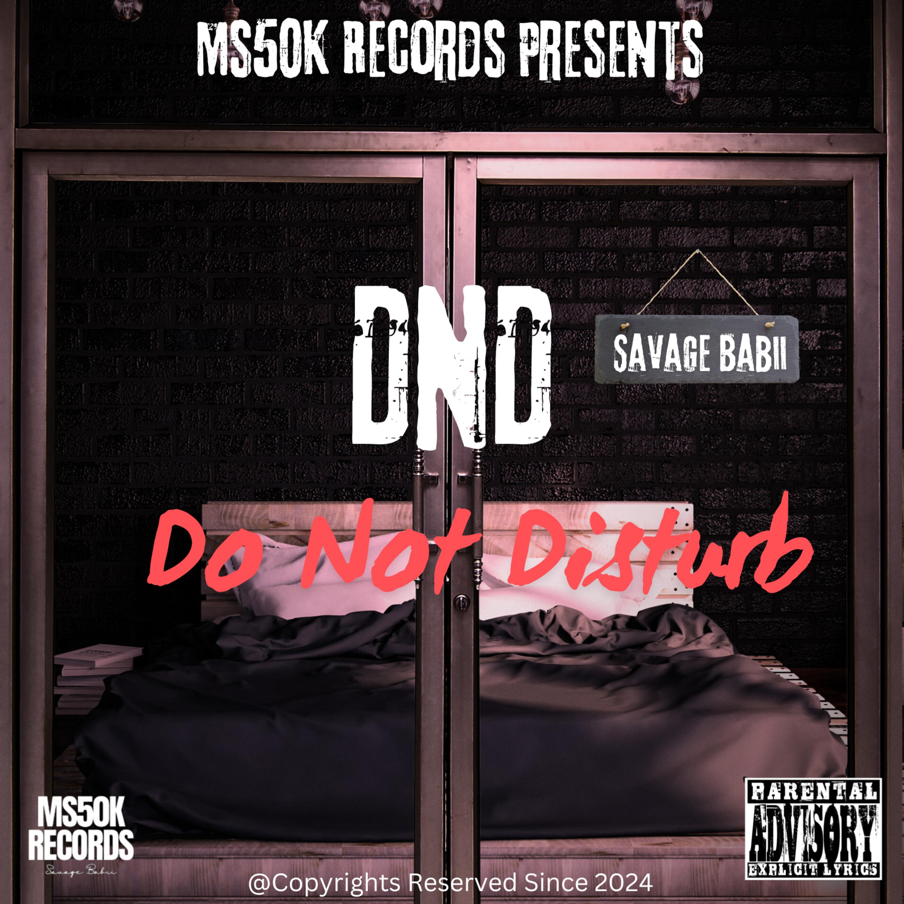 DND (Do Not Disturb) artwork