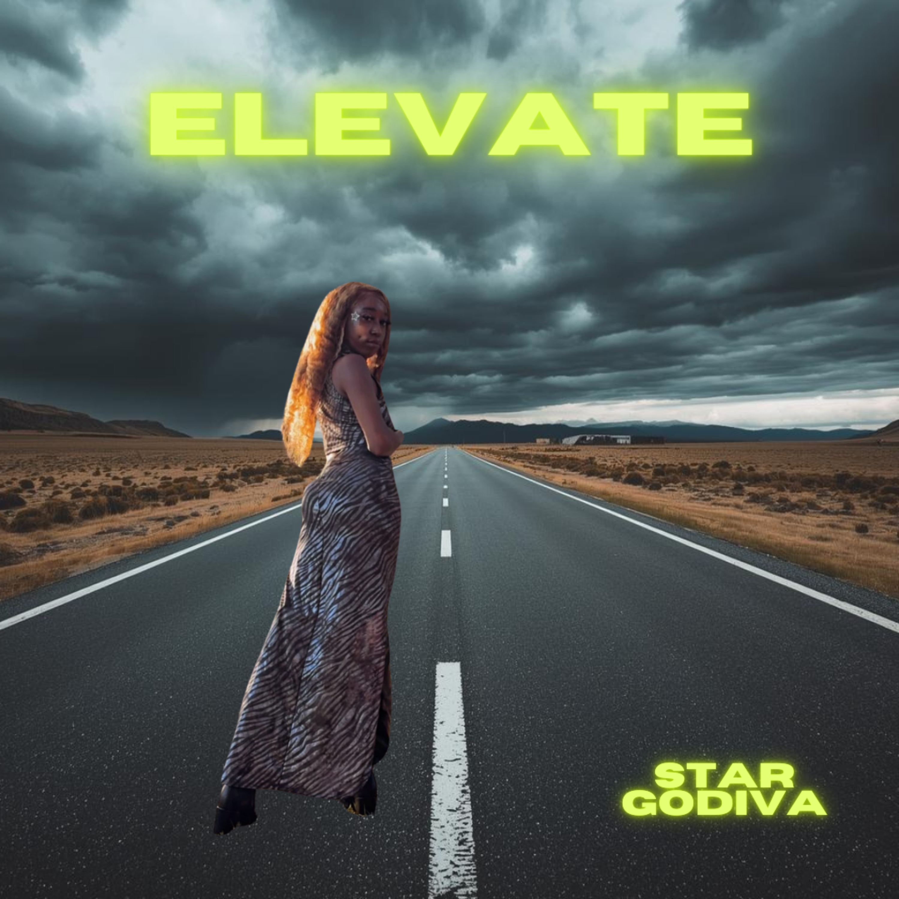 Elevate artwork