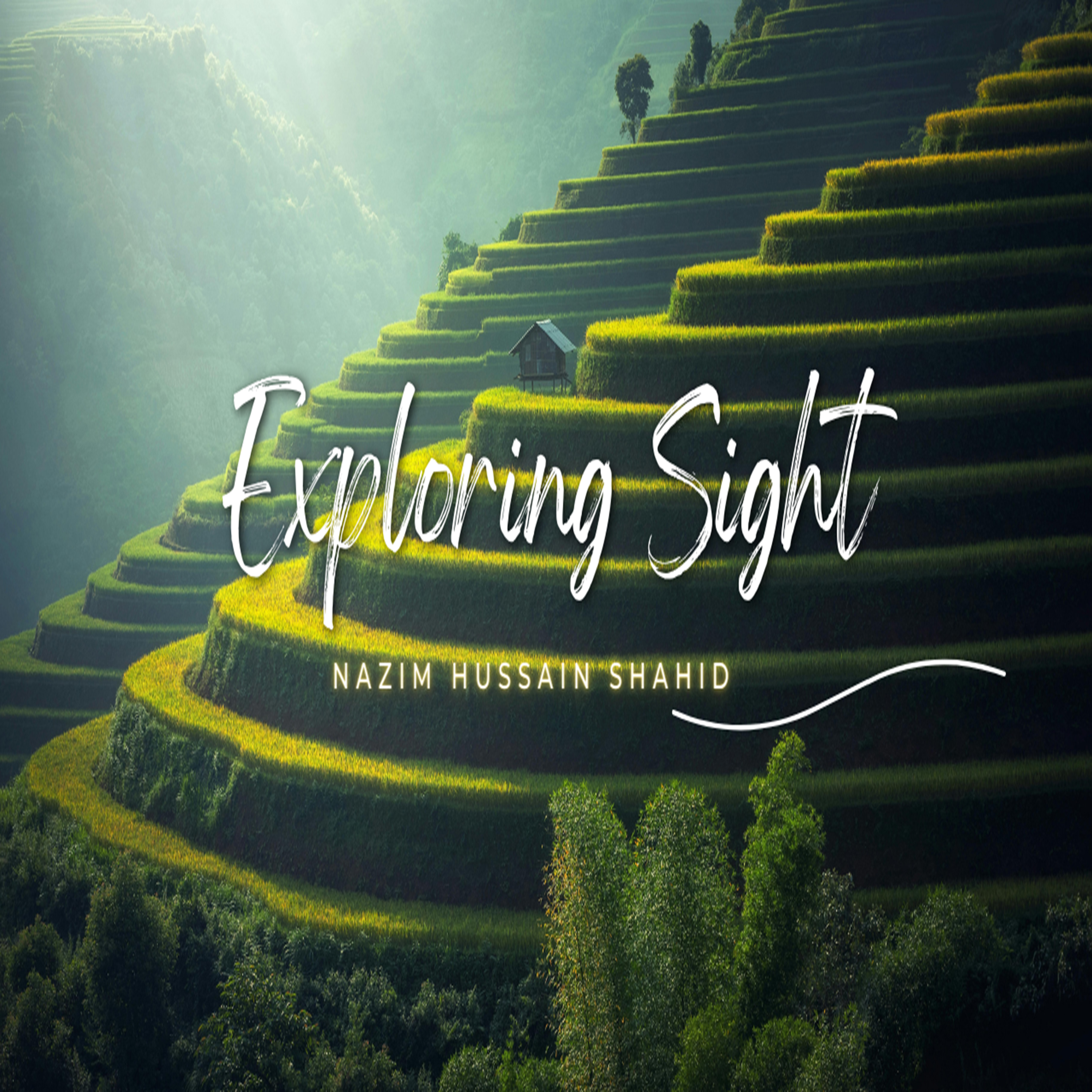 Exploring Sight artwork